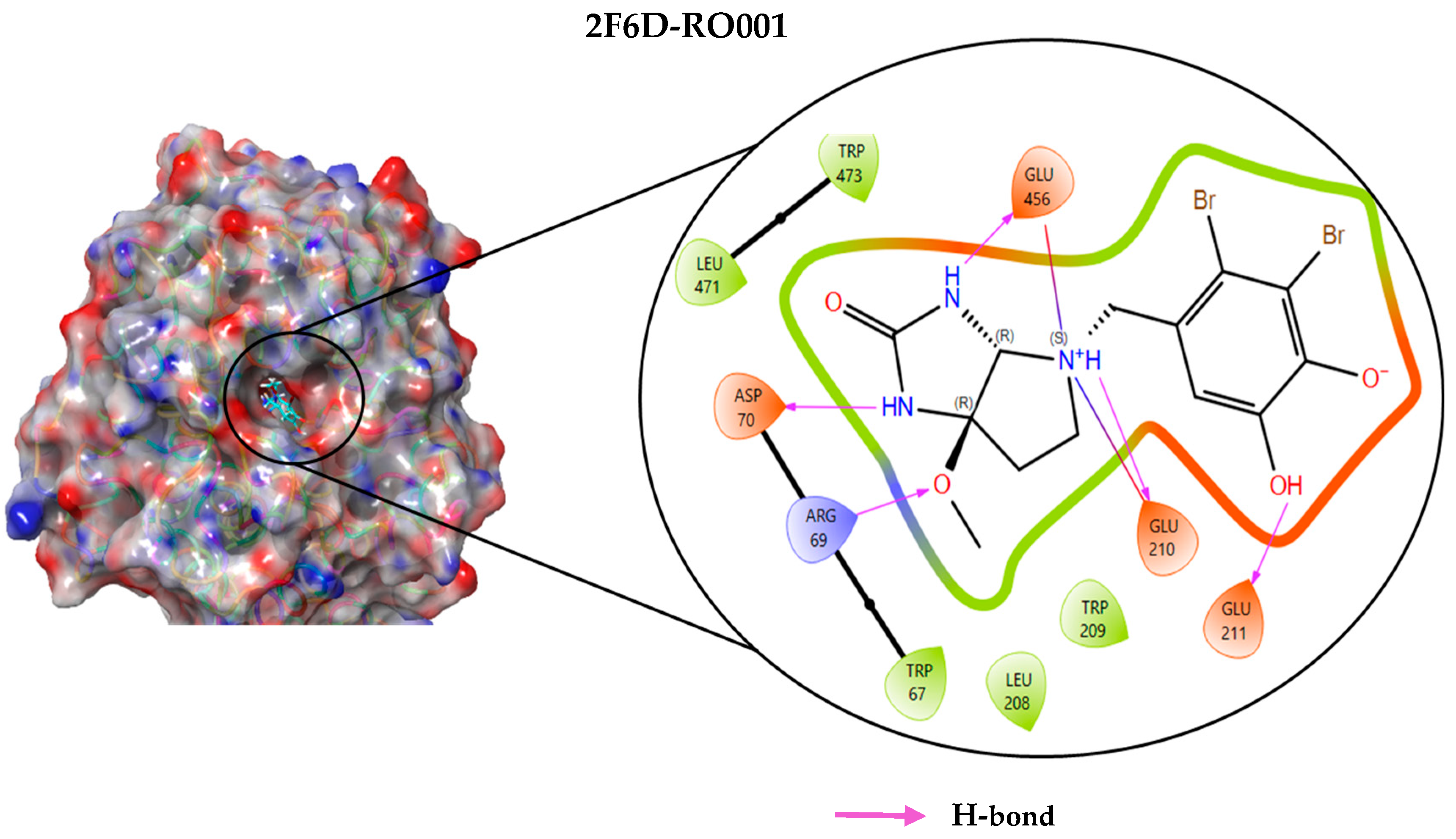 Pharmaceuticals 19 00098 g002