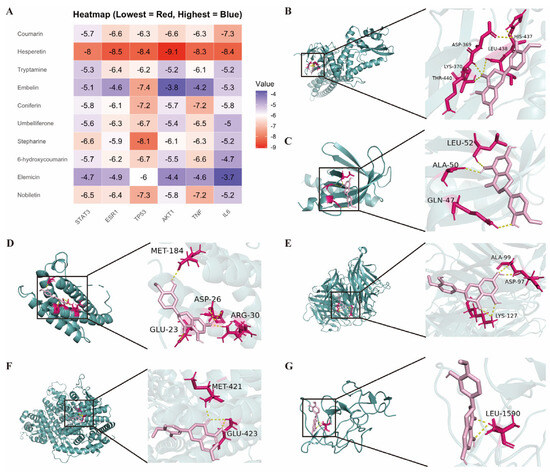 Elucidating the Mechanism of the Liqi Yangyin Formula in Treating