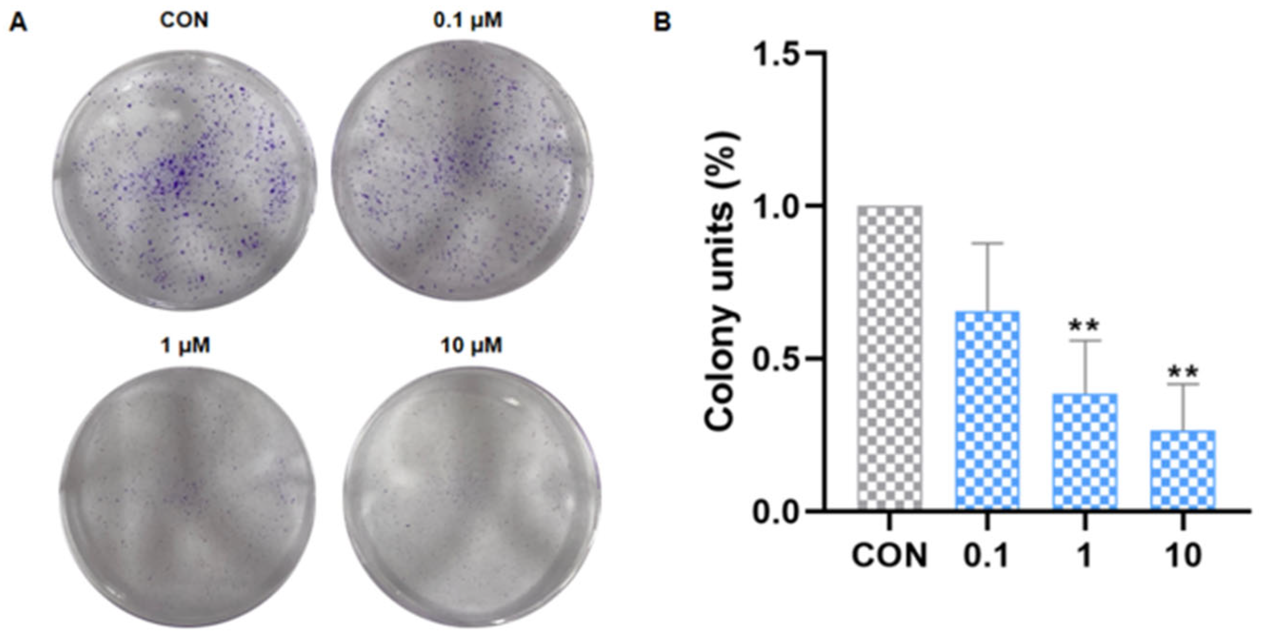 Pharmaceuticals 19 00161 g006