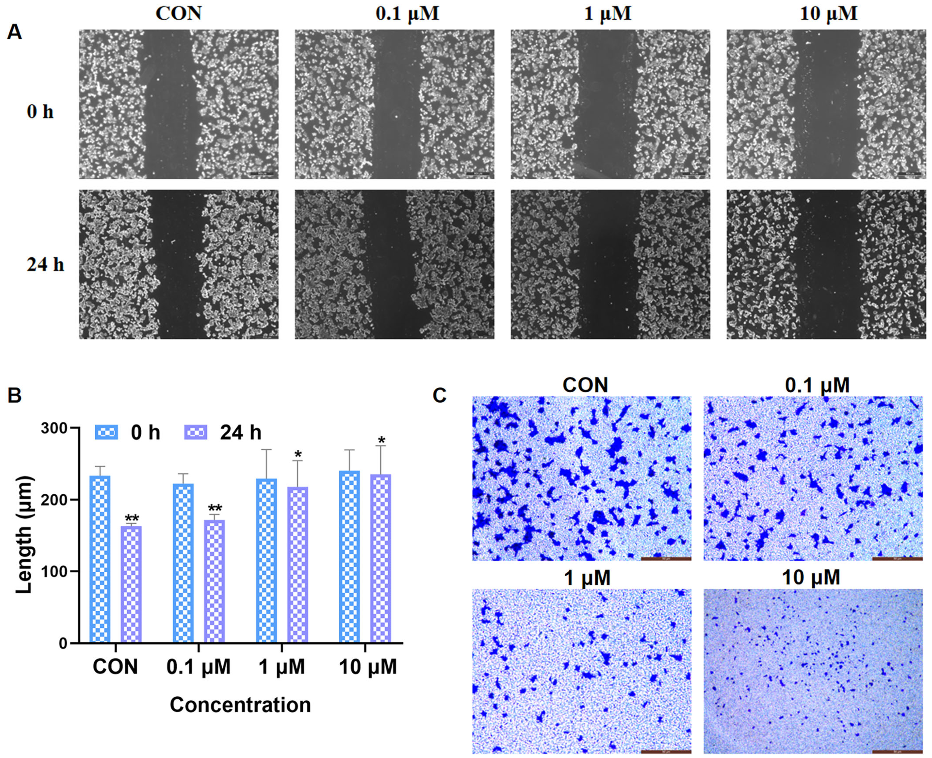 Pharmaceuticals 19 00161 g007