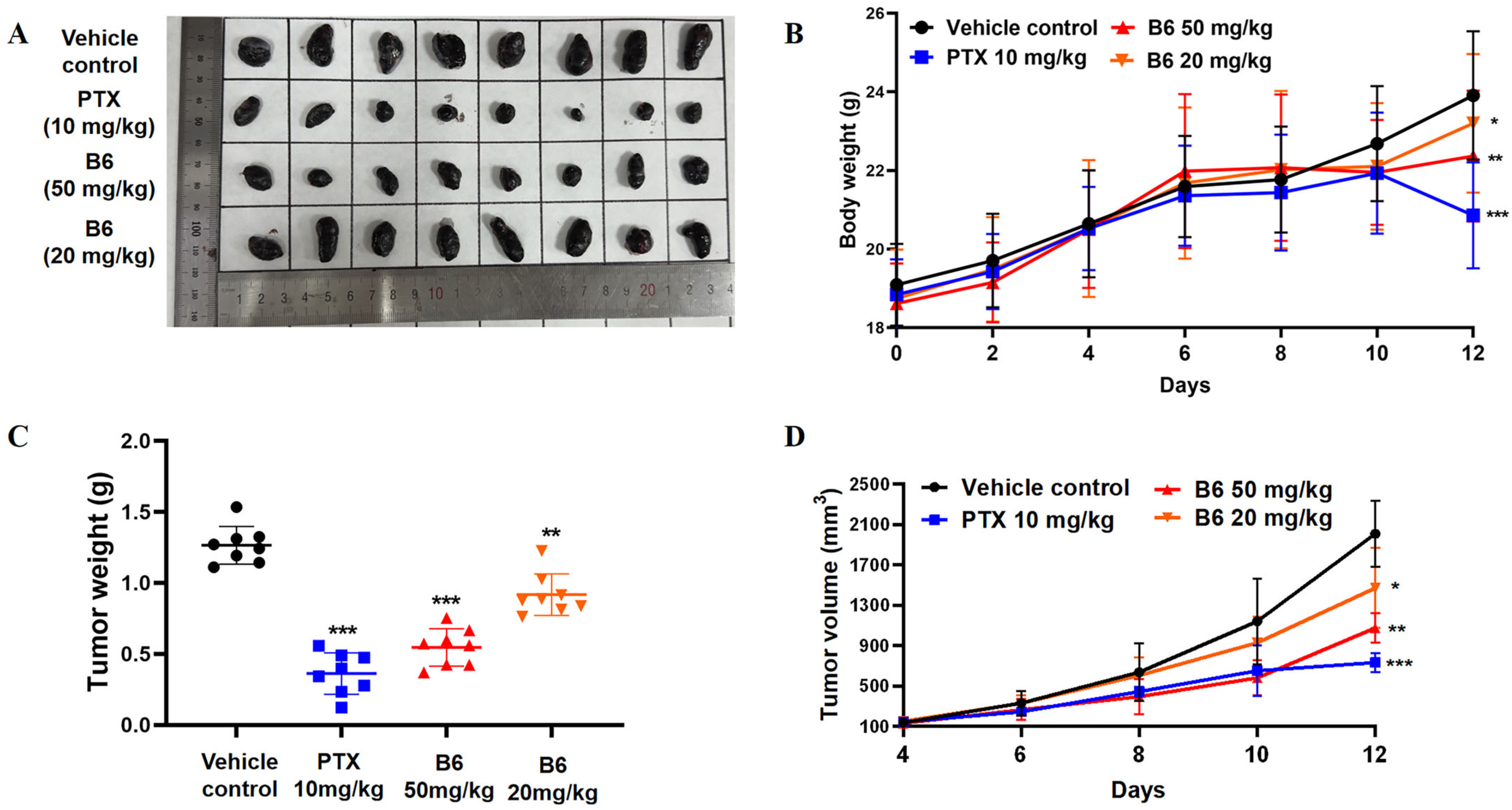 Pharmaceuticals 19 00161 g012