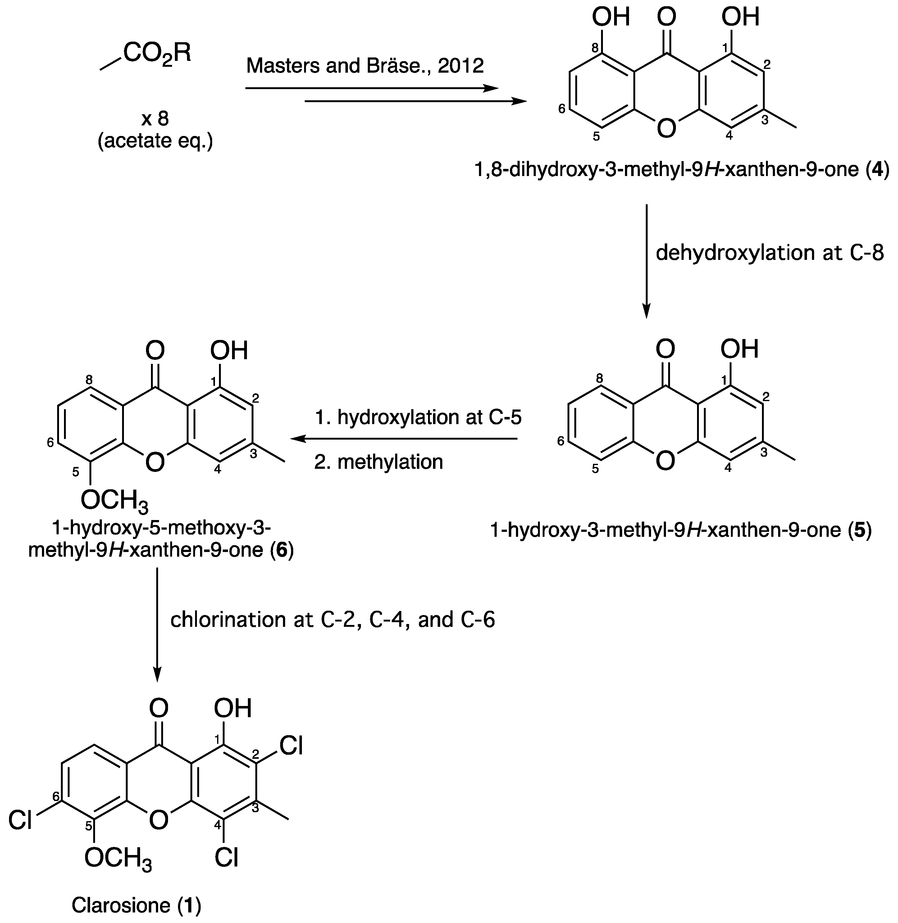 Pharmaceuticals 19 00174 g005
