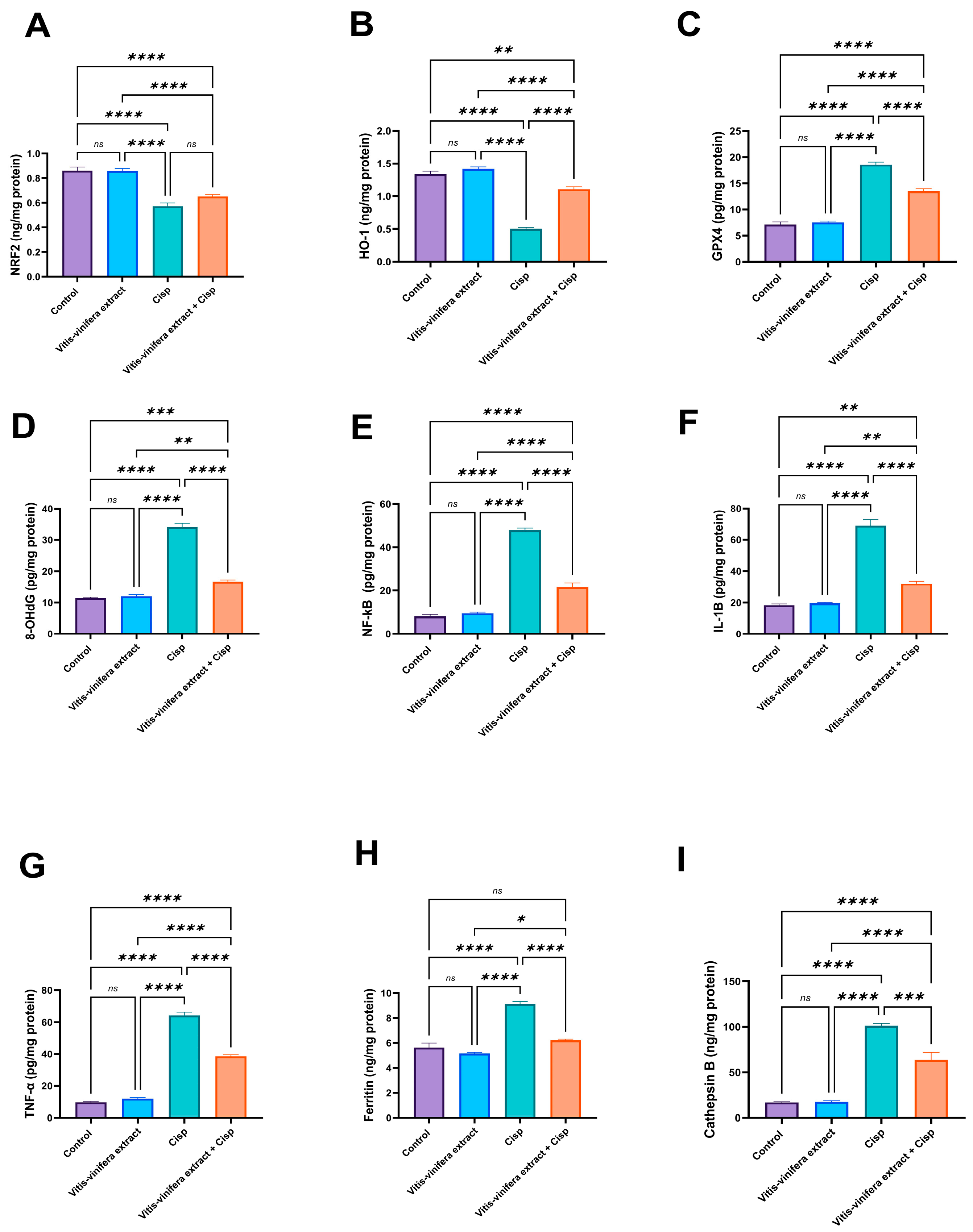 Pharmaceuticals 19 00178 g004