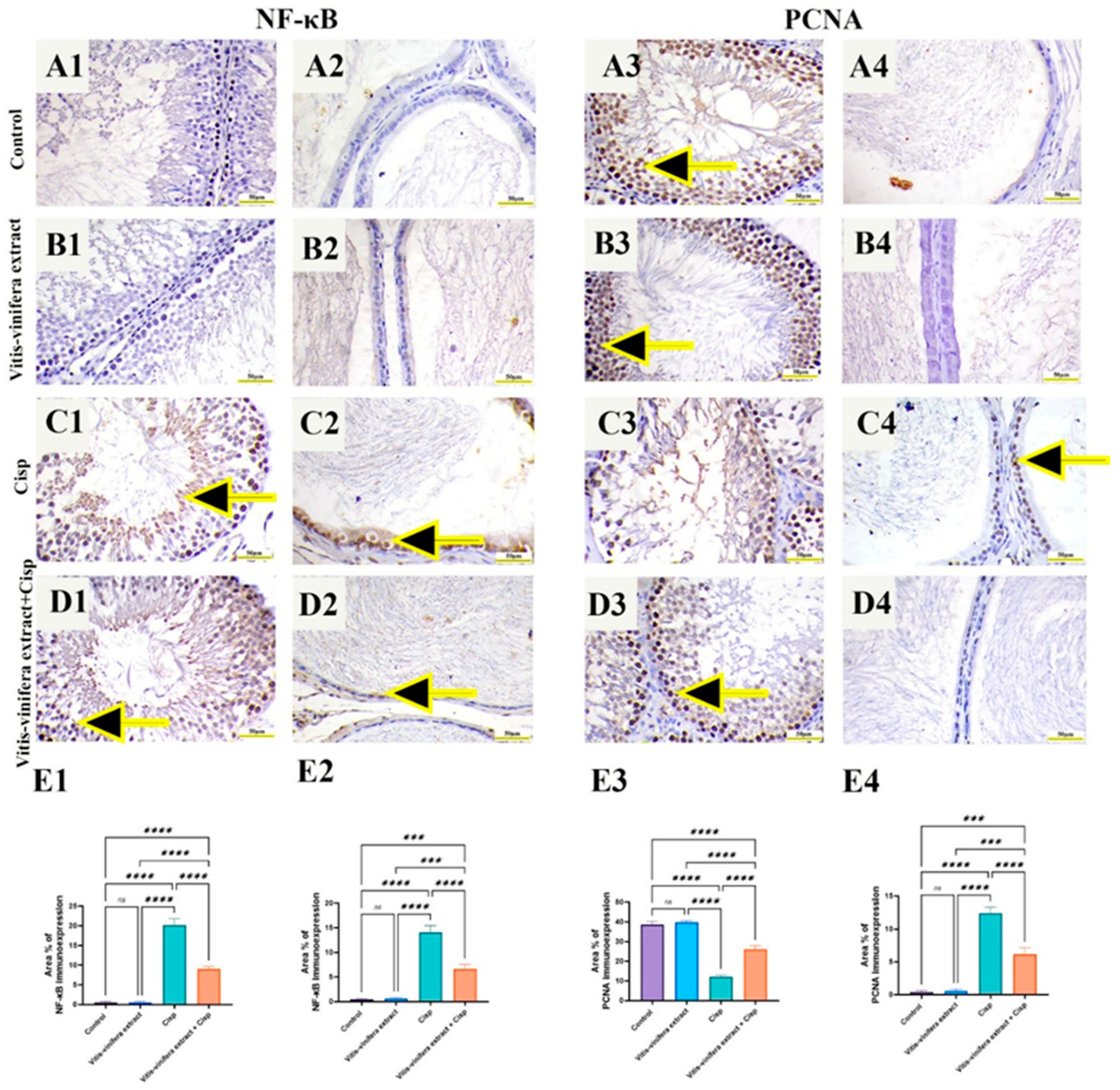 Pharmaceuticals 19 00178 g007