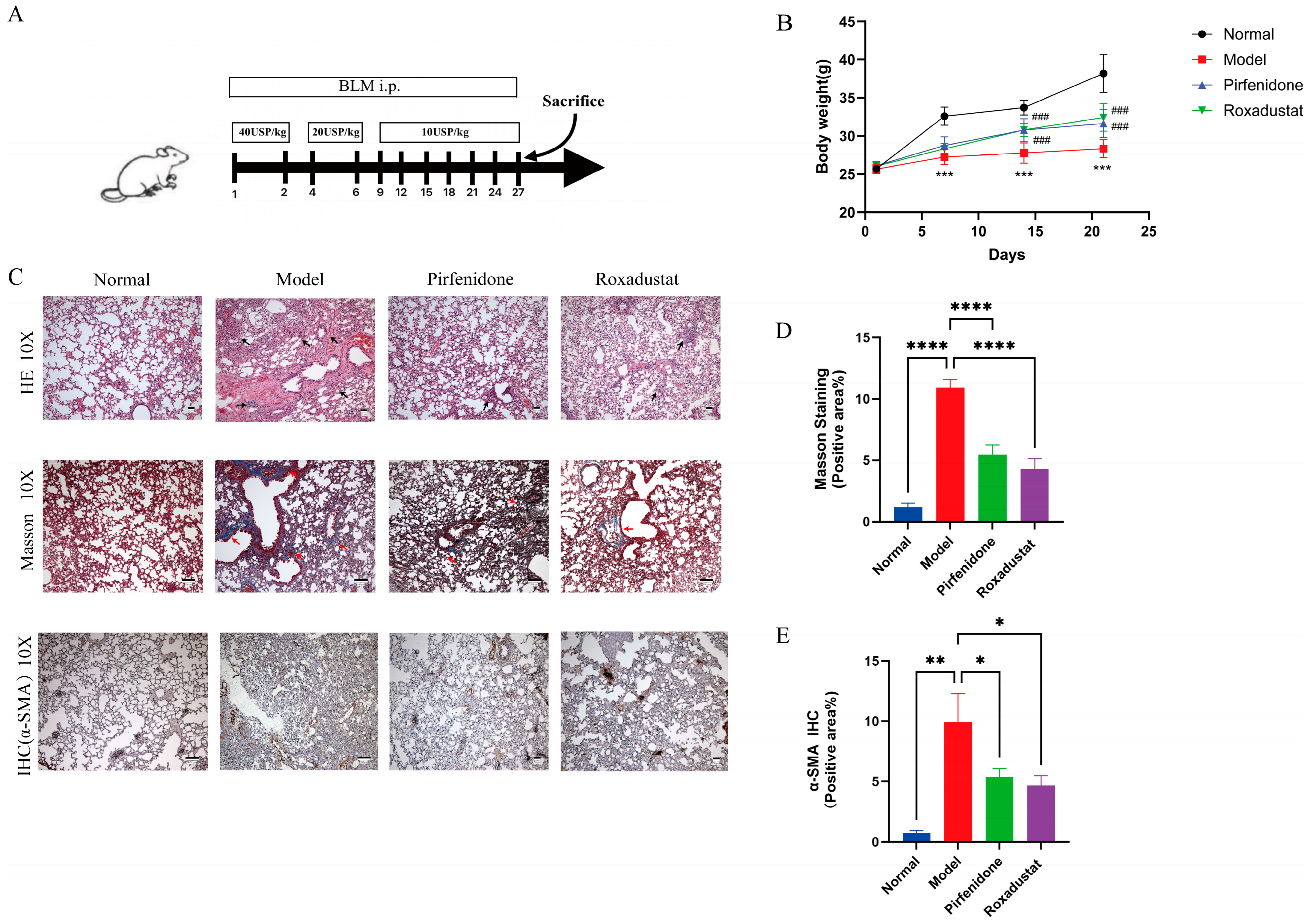 Pharmaceuticals 19 00179 g001