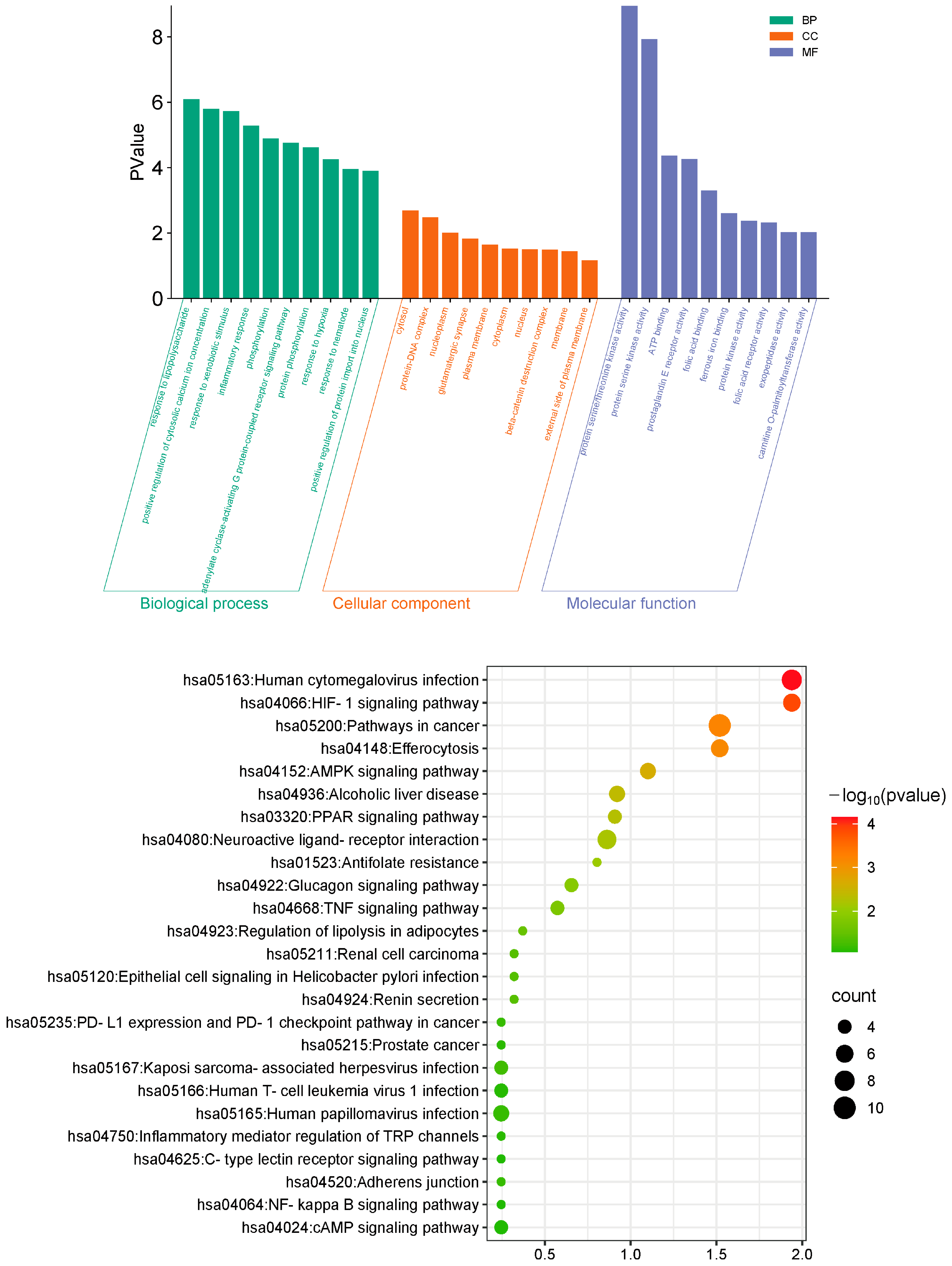 Pharmaceuticals 19 00179 g004