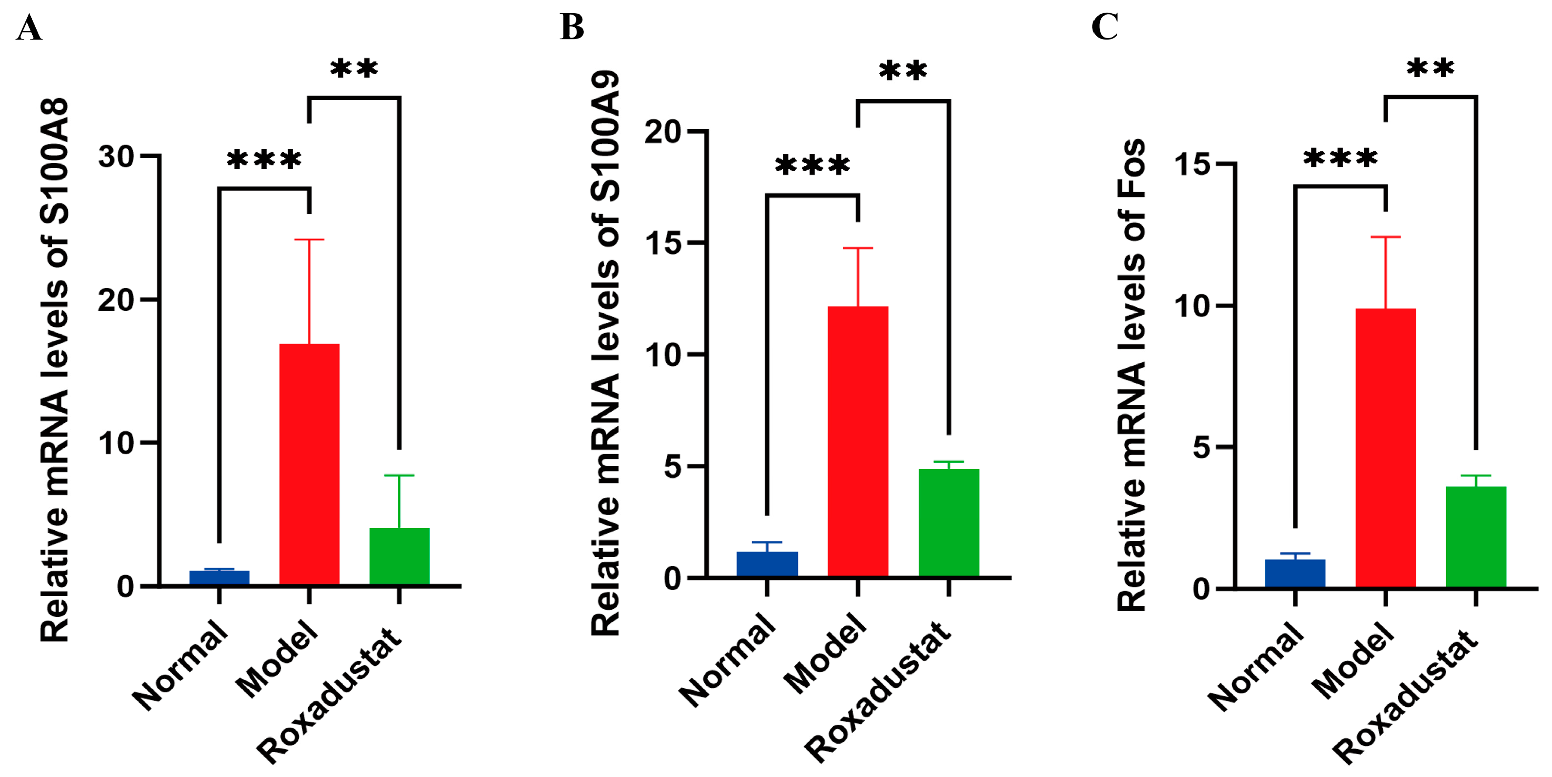 Pharmaceuticals 19 00179 g007