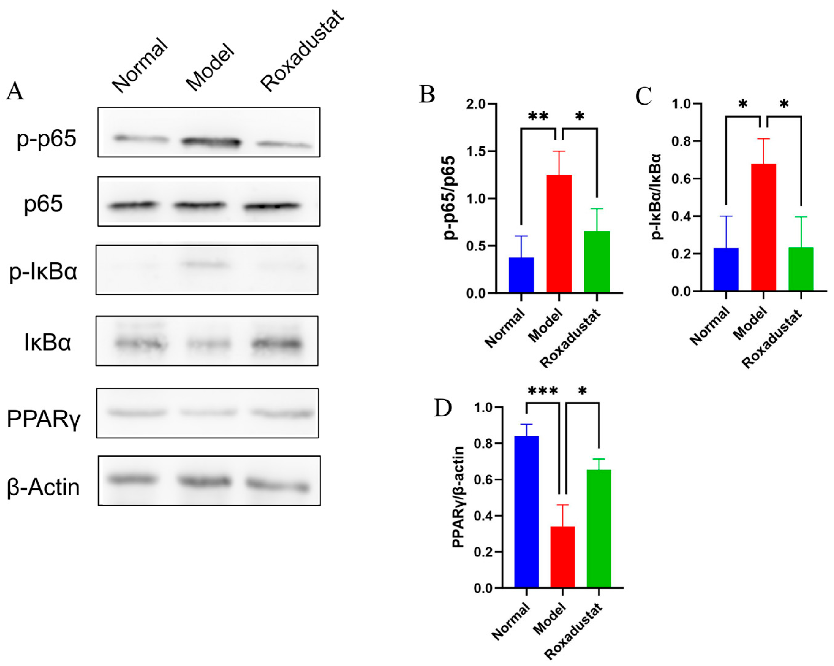 Pharmaceuticals 19 00179 g008