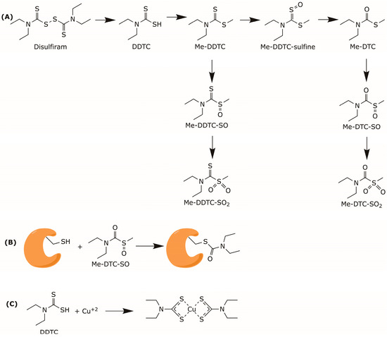 glutathione and disulfiram together Metabolism action of disulfiram. disulfiram-derived metabolites can Disulfiram (Tetraethylthiuram disulfide) | ALDH1