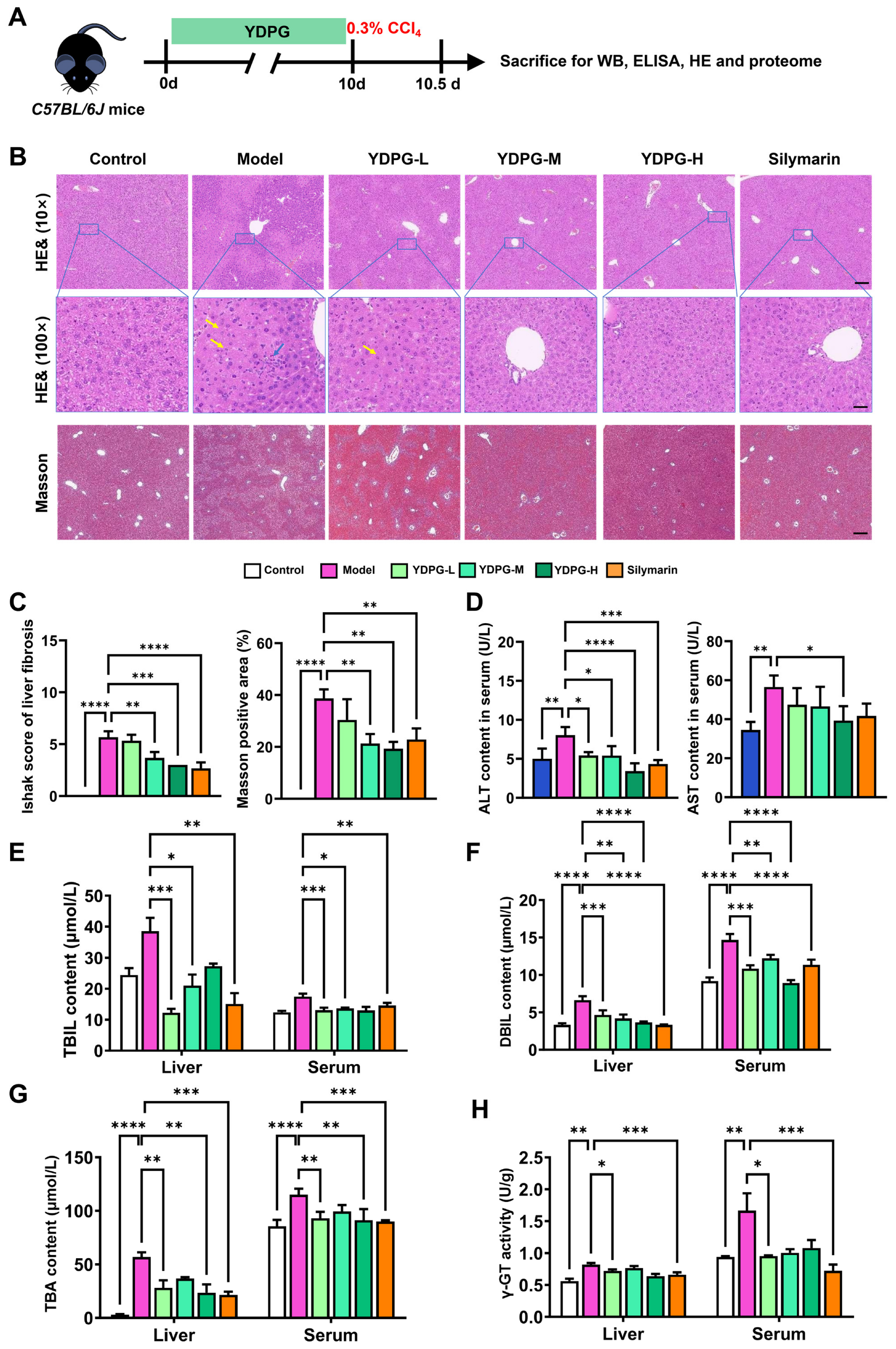 Pharmaceuticals 19 00251 g001 Pharmaceuticals 19 00251 g001