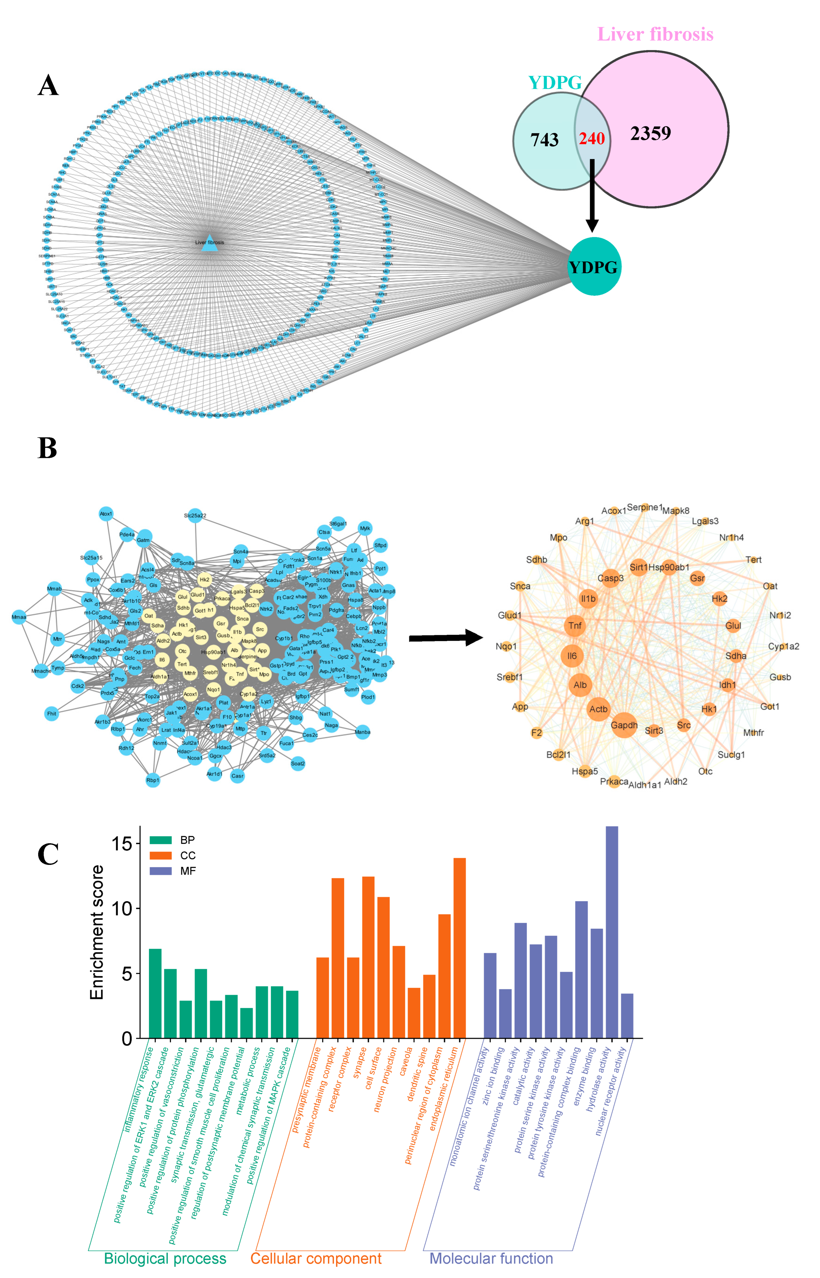Pharmaceuticals 19 00251 g002 Pharmaceuticals 19 00251 g002