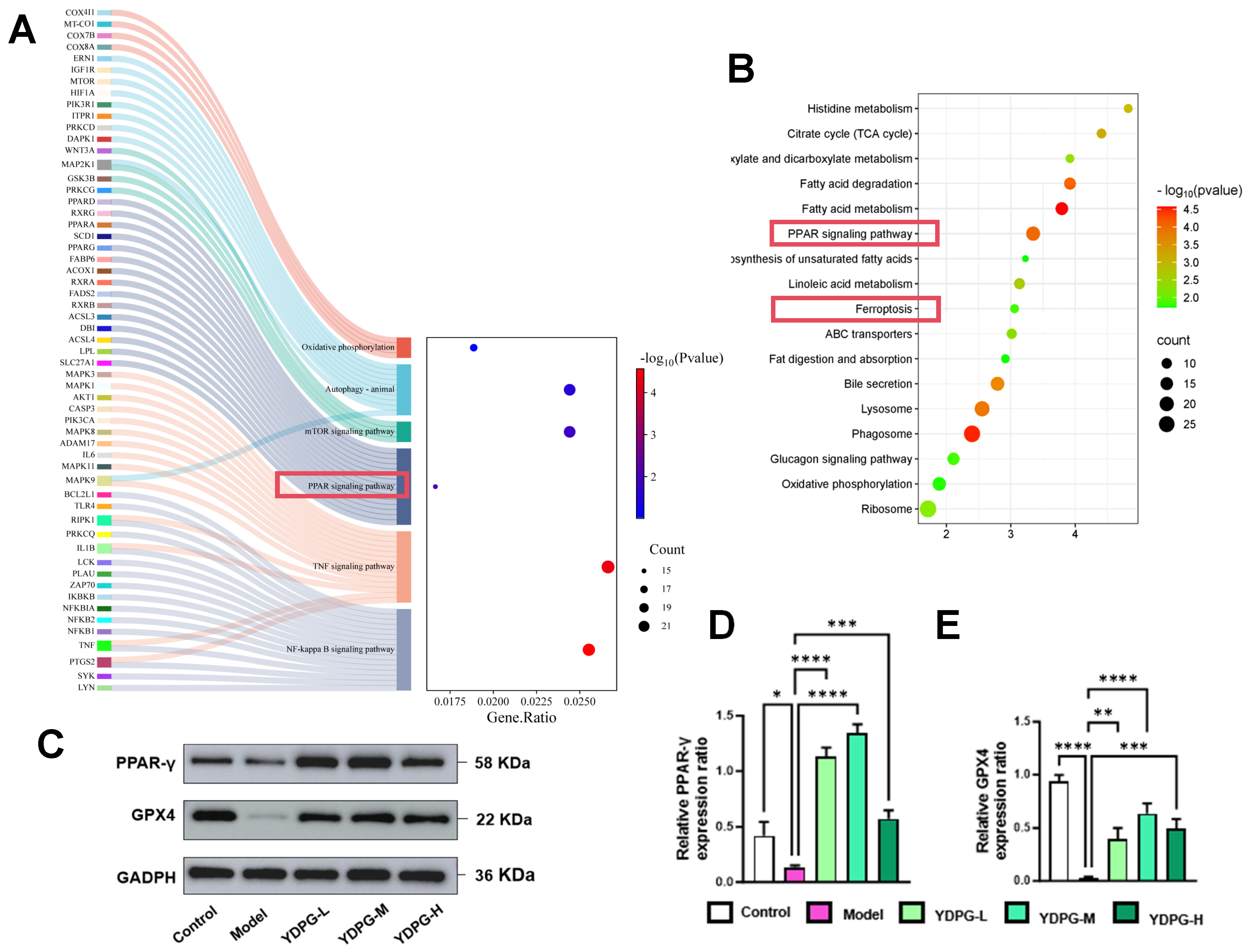 Pharmaceuticals 19 00251 g004 Pharmaceuticals 19 00251 g004