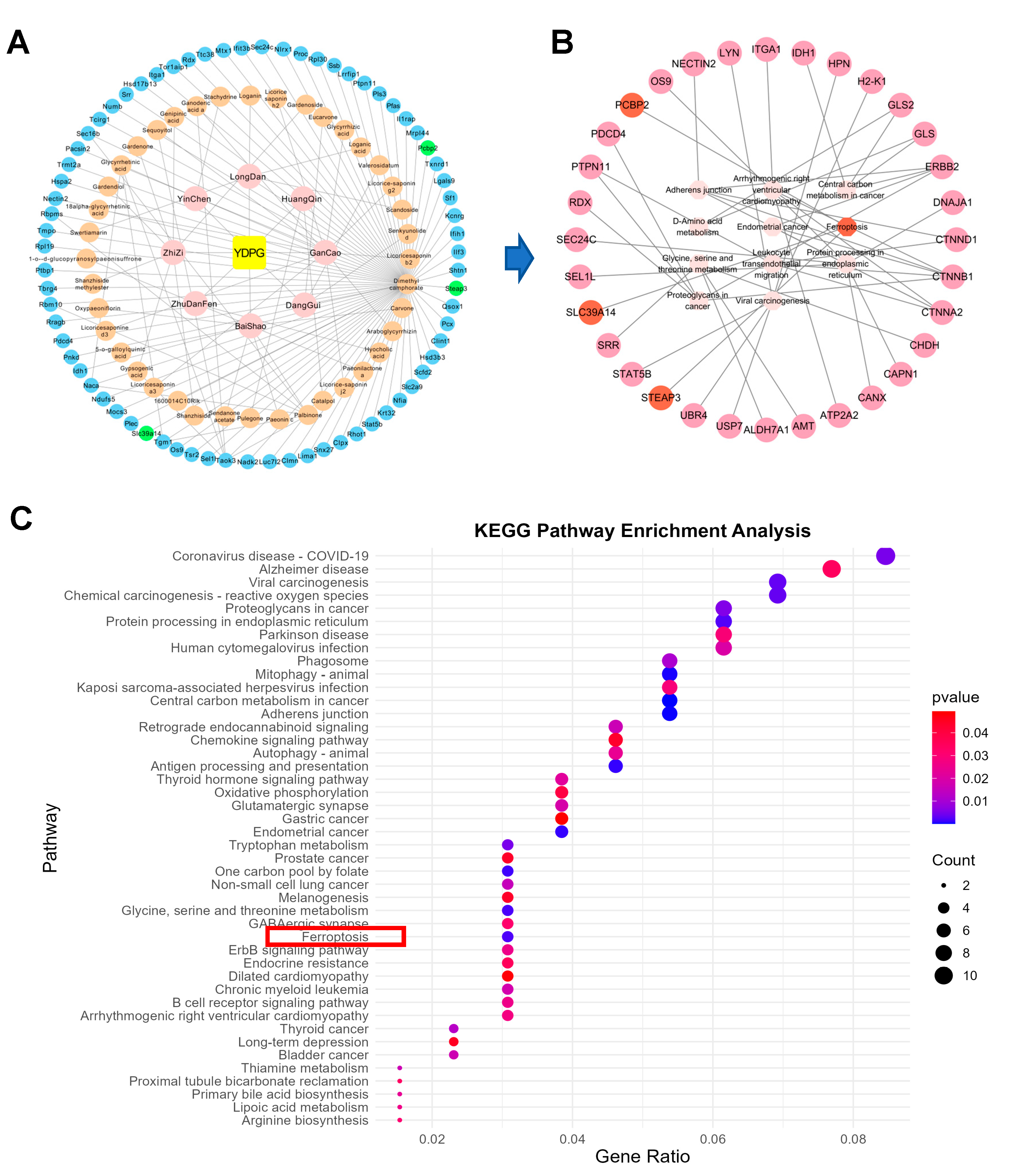 Pharmaceuticals 19 00251 g006 Pharmaceuticals 19 00251 g006