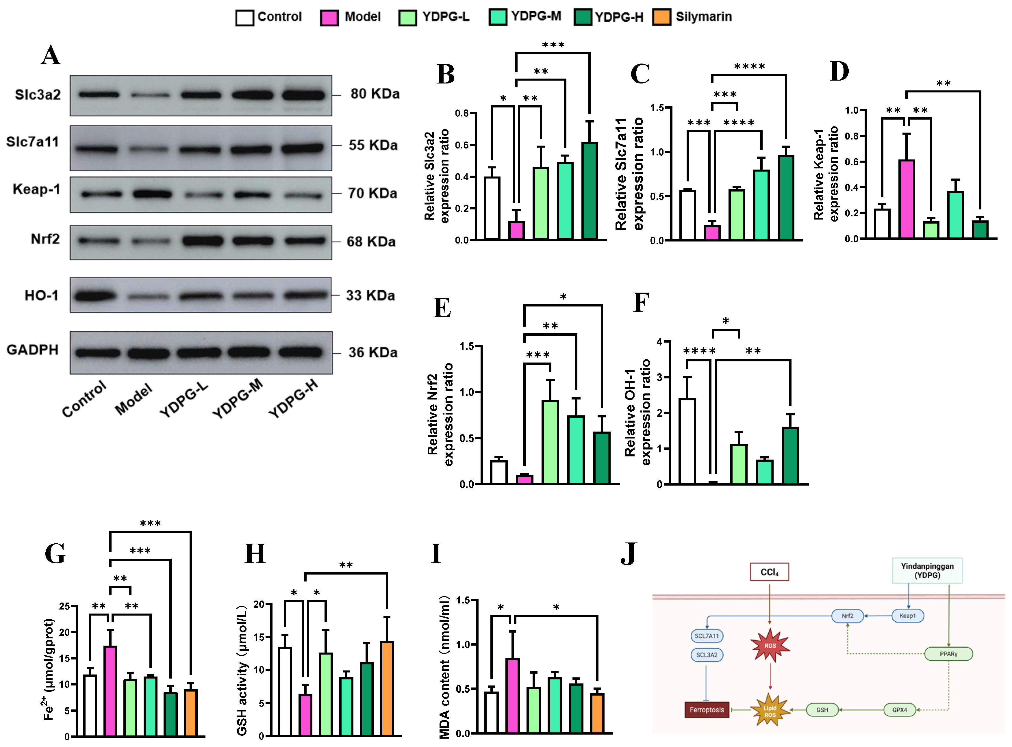 Pharmaceuticals 19 00251 g007 Pharmaceuticals 19 00251 g007