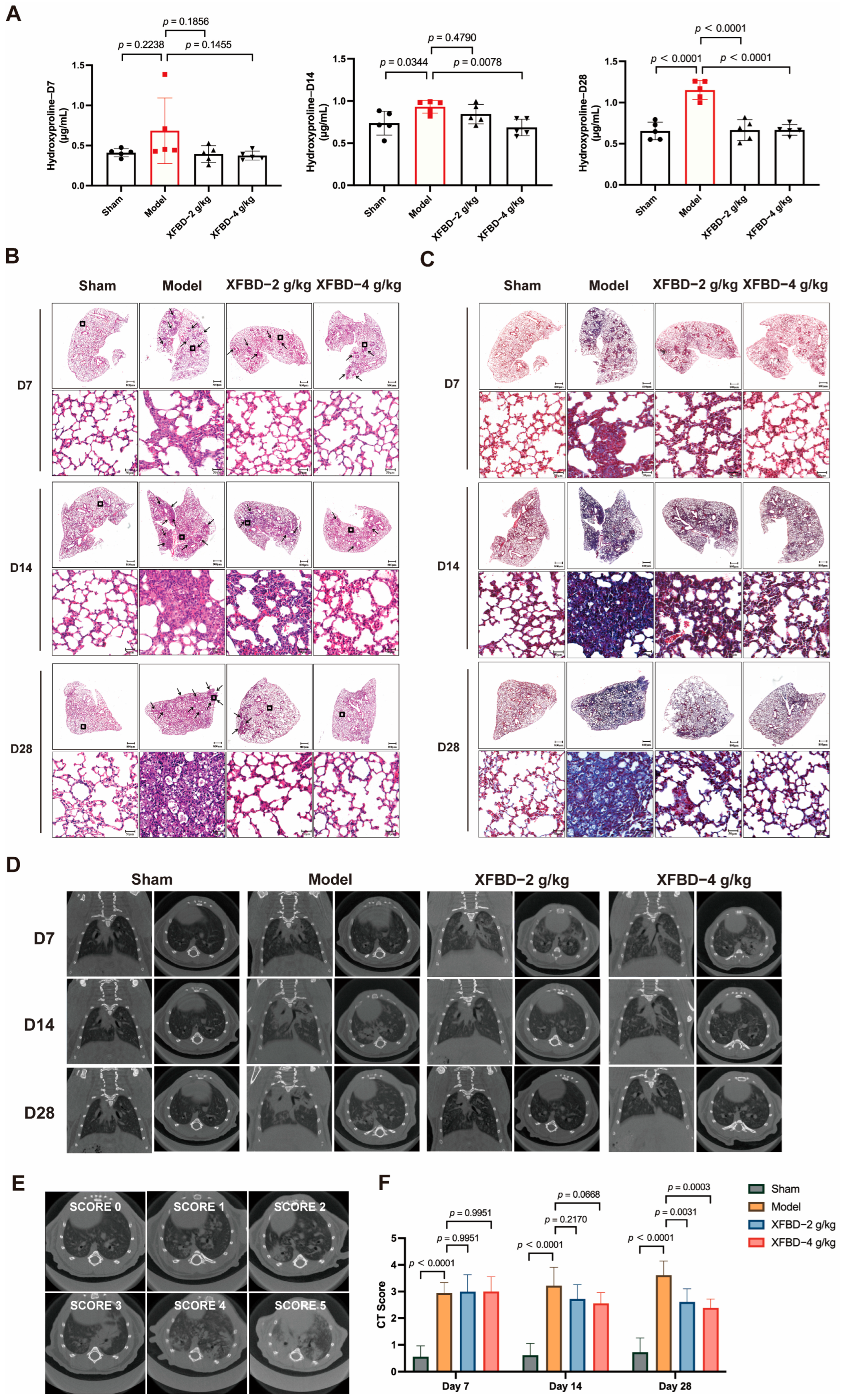 Pharmaceuticals 19 00253 g004