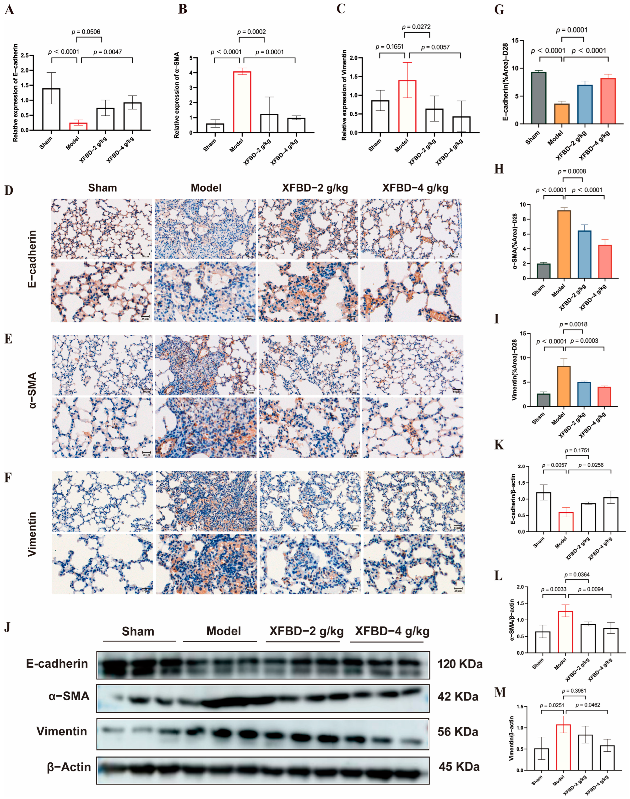Pharmaceuticals 19 00253 g005