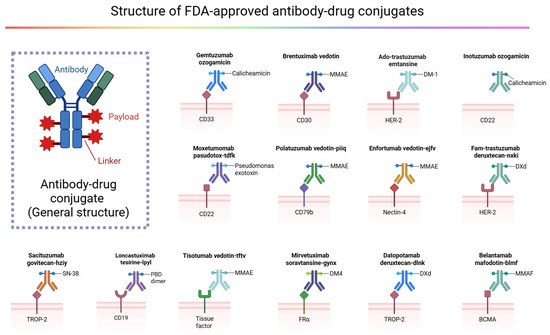 Frontiers in Antibody–Drug Conjugates: Mechanisms, Design Innovations ...