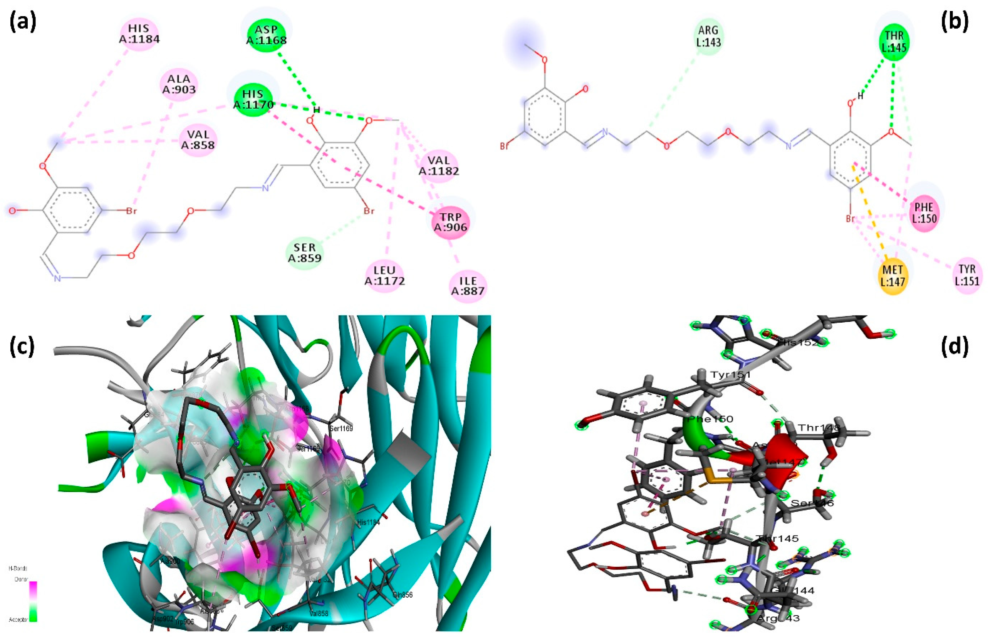 Pharmaceuticals 19 00332 g010 Pharmaceuticals 19 00332 g010