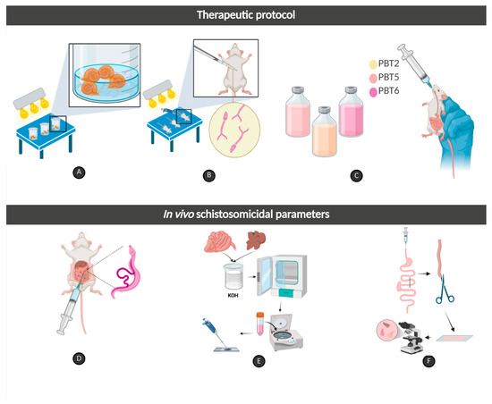 Thiazole as a Promising Scaffold for the Treatment of