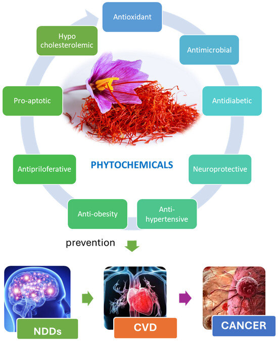 glutathione supplement morocco pharmacy From Stigma to Therapy: Pharmacological Insights into Saffron Bioactives for Major Non-Communicable Diseases STRENGTH:Elite ADDF Joseph Harding Vitamins & Minerals