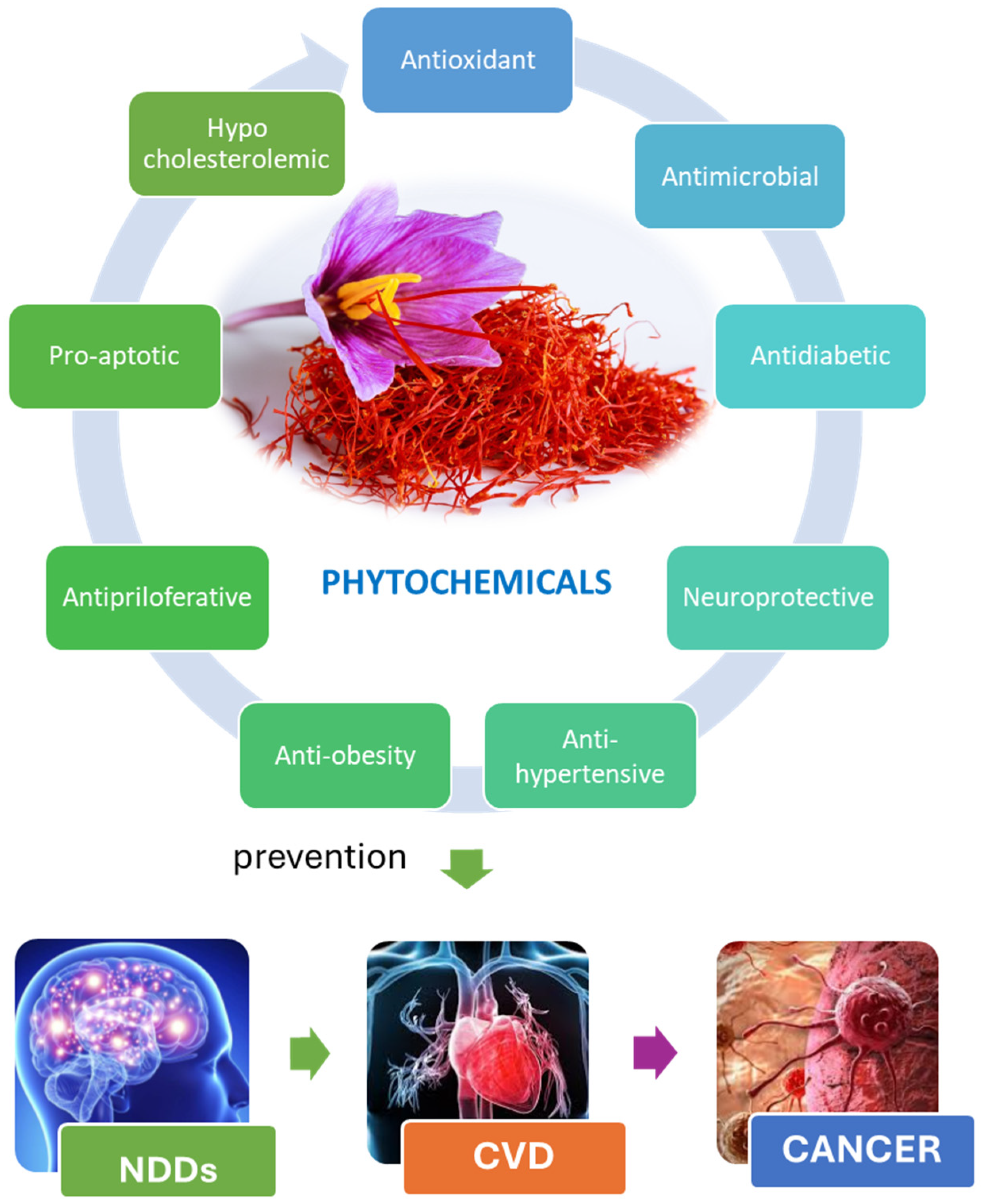Pharmaceuticals 19 00484 g001 Pharmaceuticals 19 00484 g001
