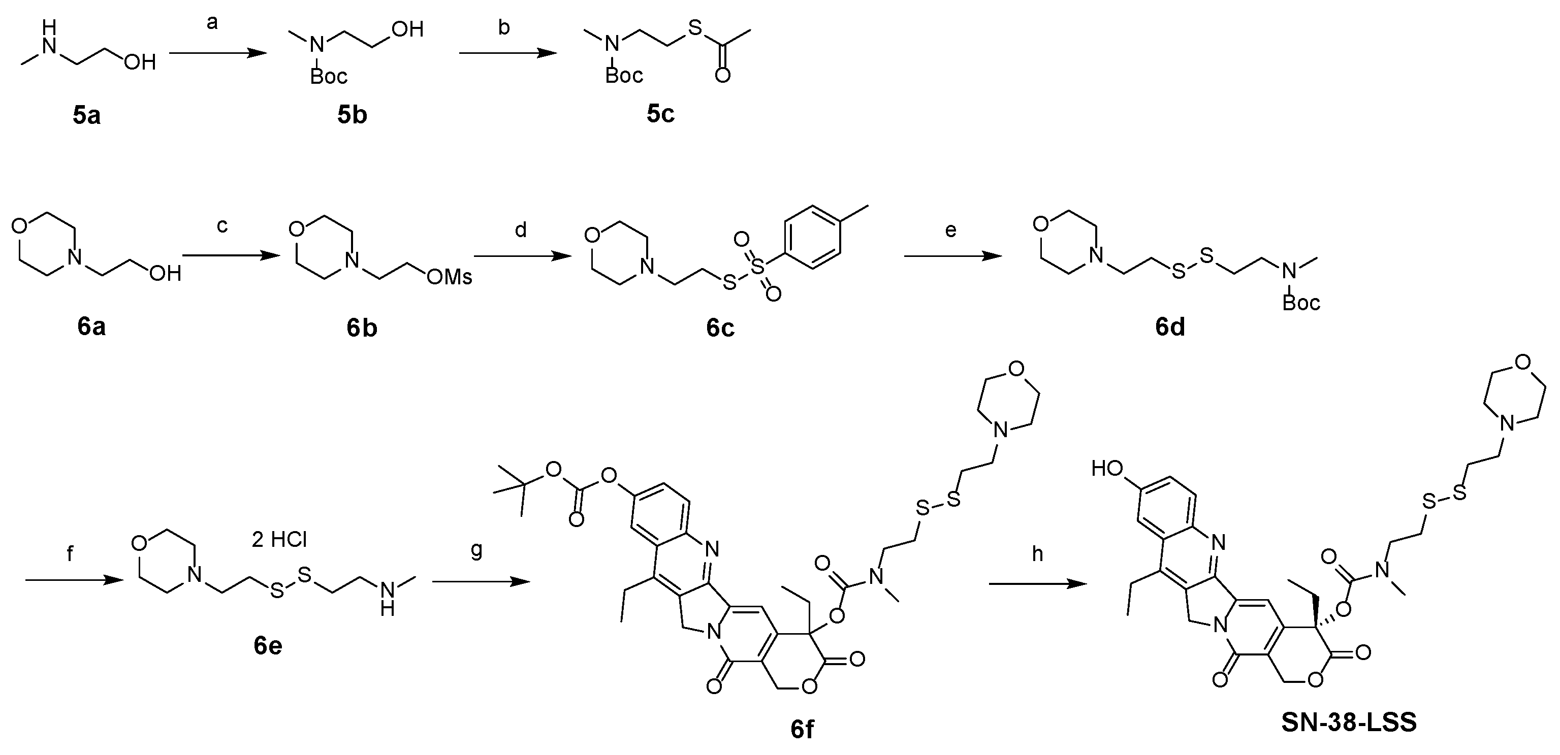 Pharmaceuticals 19 00515 sch002