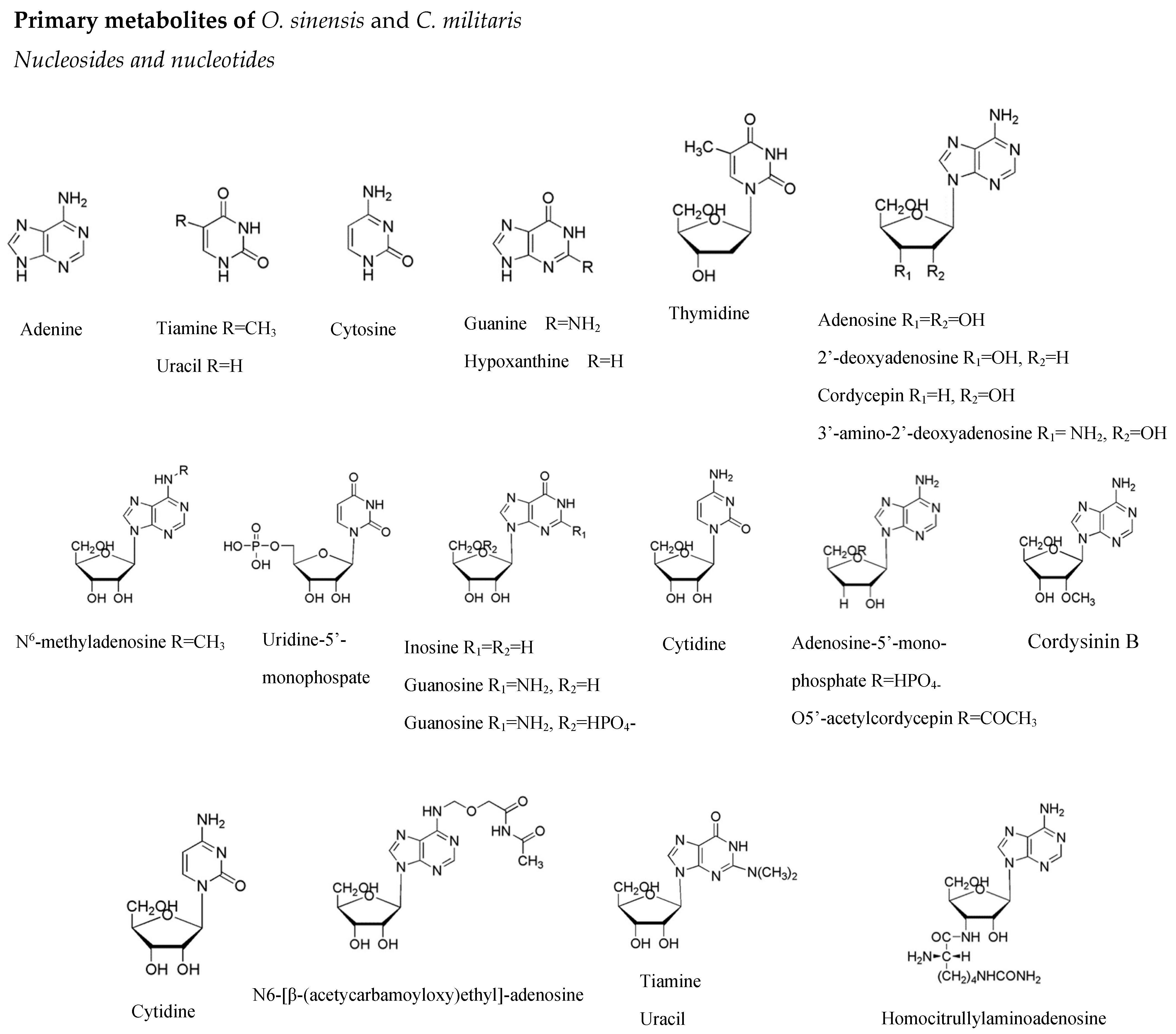 Pharmaceuticals 19 00519 g0a1