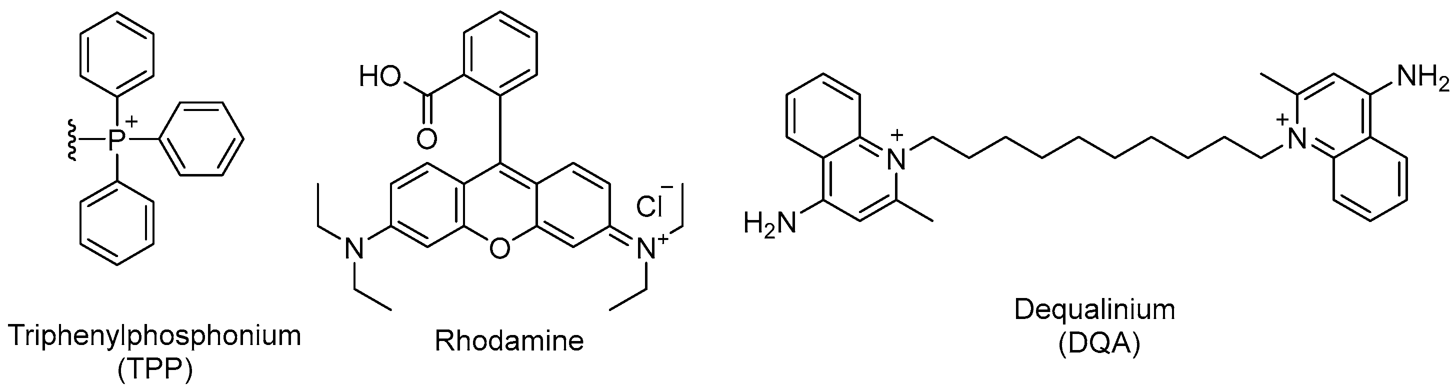 Pharmaceuticals 19 00537 g010 Pharmaceuticals 19 00537 g010