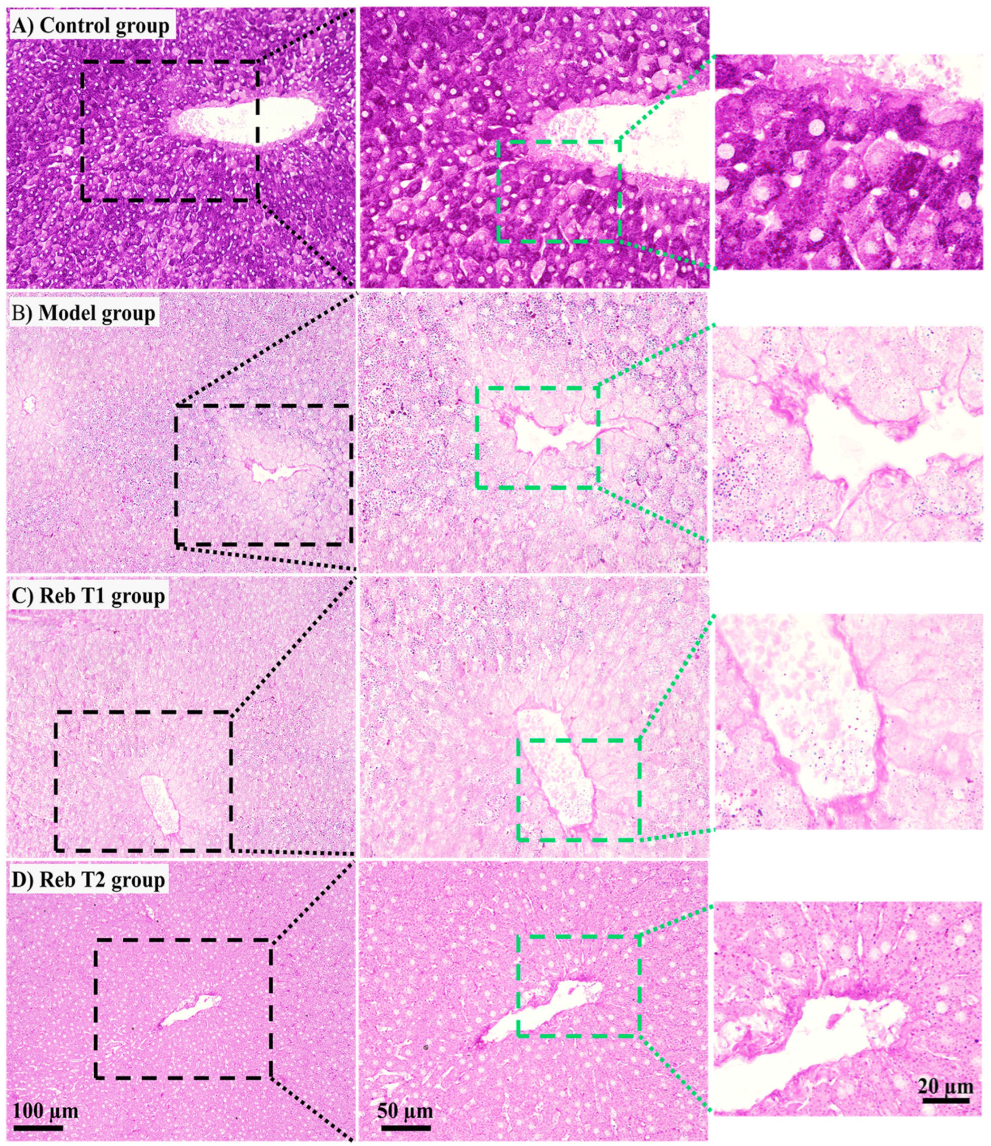 Pharmaceuticals 19 00559 g012