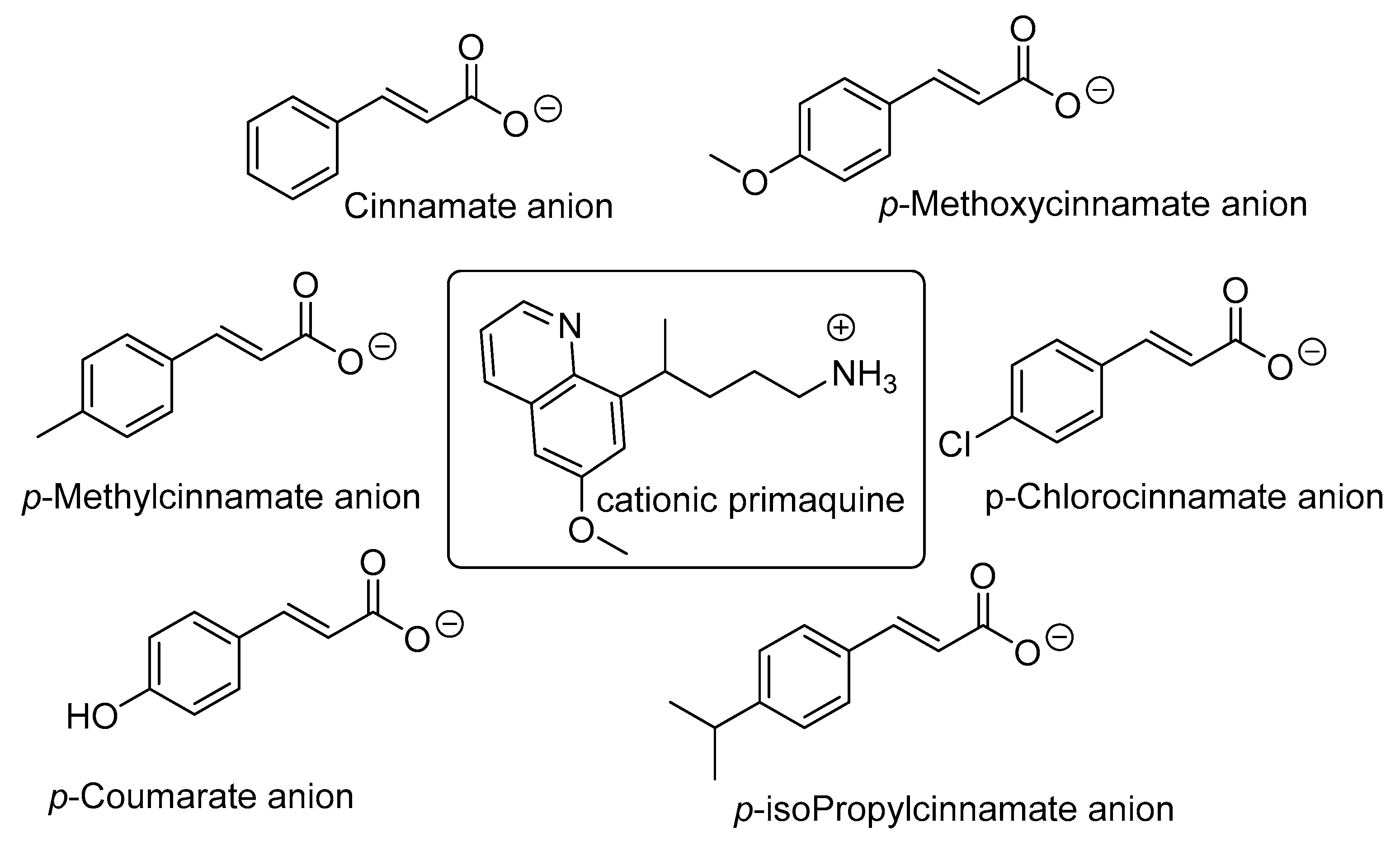 Pharmaceuticals 19 00570 g012