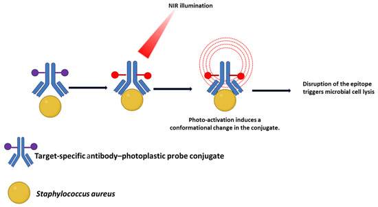 Perspective Approaches to Trojan Horse Strategy Development for Combating  Bacterial Pathogens