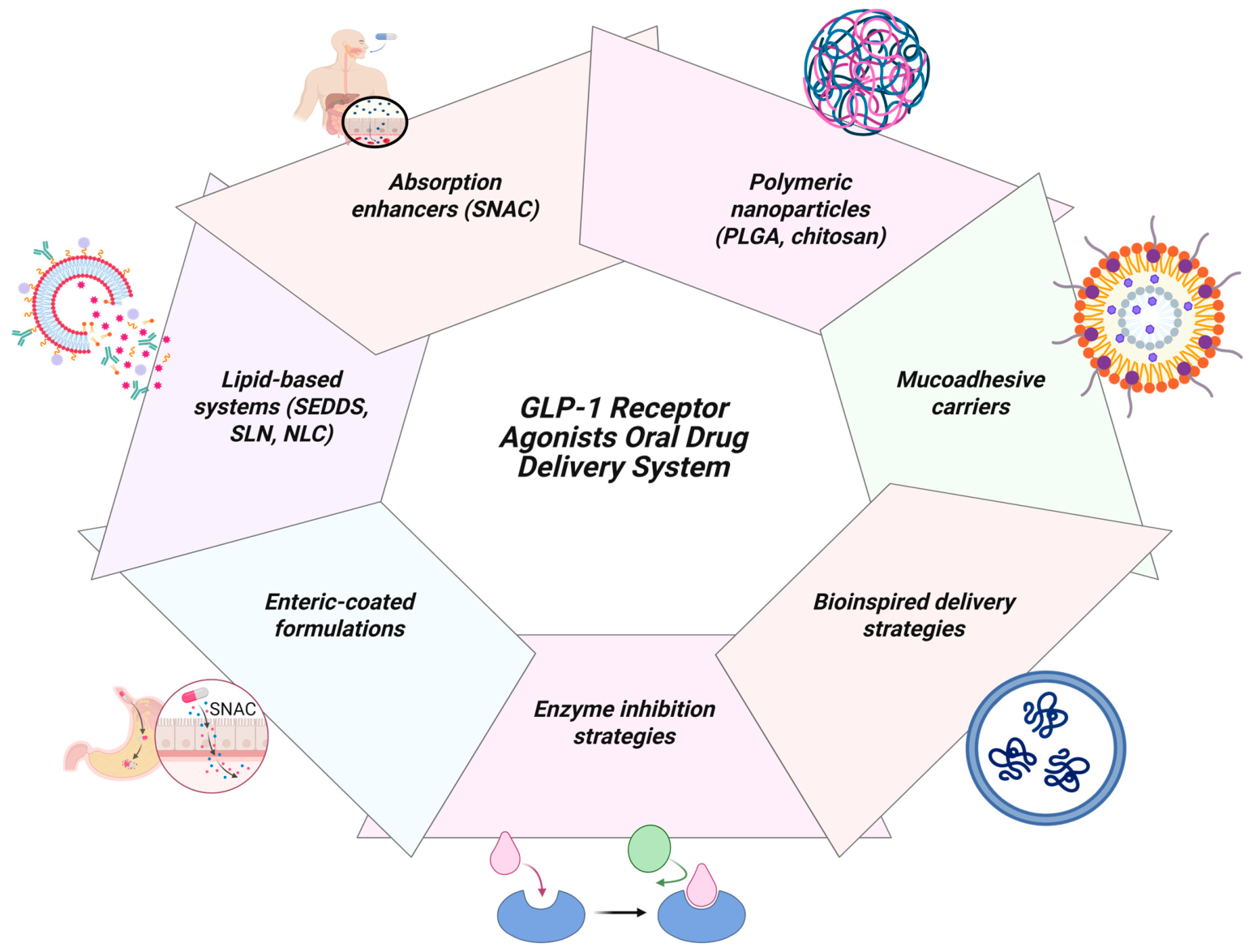 astria therapeutics glp-1 receptor agonist weight management diabetes treatments Study Finds GLP‑1 Therapy Reduces Heart and Kidney Risks for Type 1 Diabetes  Patients People with type 1 diabetes who took GLP-1 receptor agonist (GLP-1-RA)  drugs for weight loss or better blood-sugar