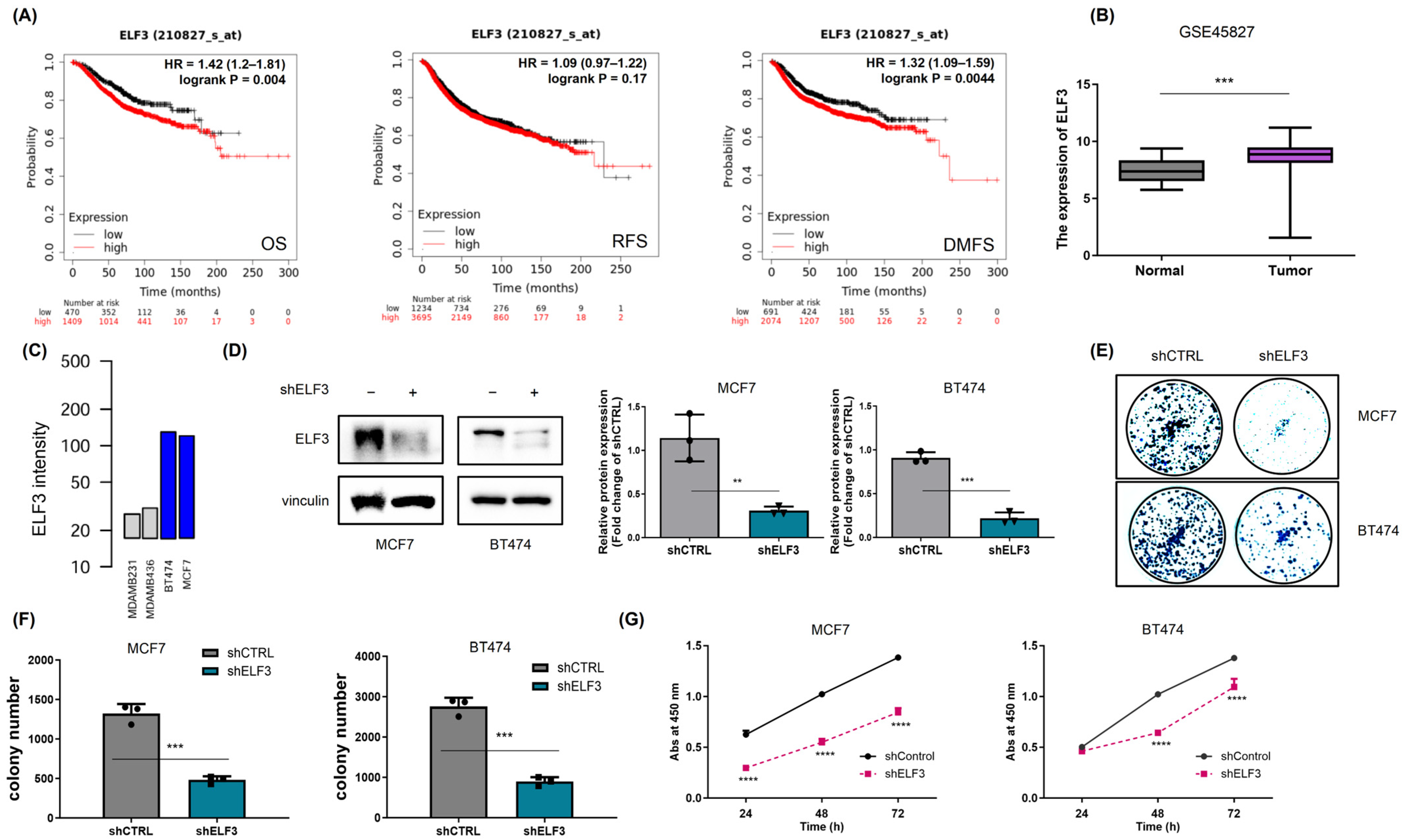 Discovery of a Small-Molecule Inhibitor Targeting the ELF3-HSP27 Interaction to Suppress Breast Cancer Progression