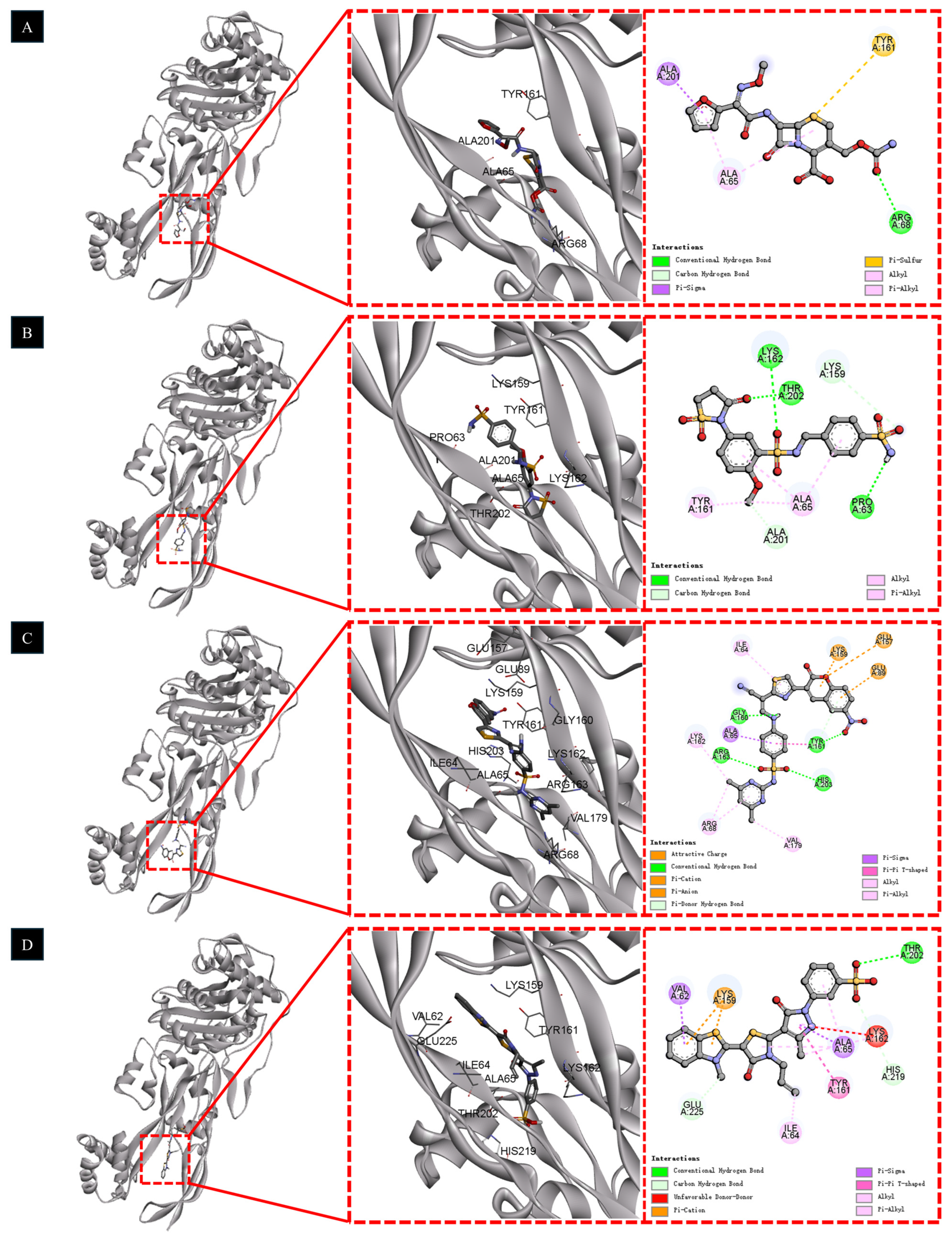 A Fivefold Maximum Drug-Likeness Strategy for Prioritizing Antibacterial Candidates Against Escherichia coli