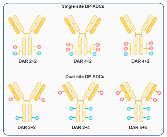 Advancements in Dual-Load Antibody–Drug Conjugates and Challenges