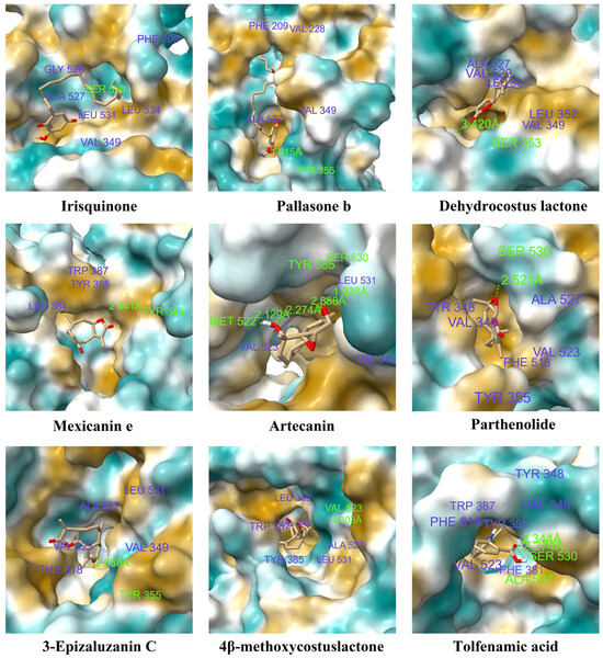 Machine Learning-Aided Drug Repurposing for Screening COX-2