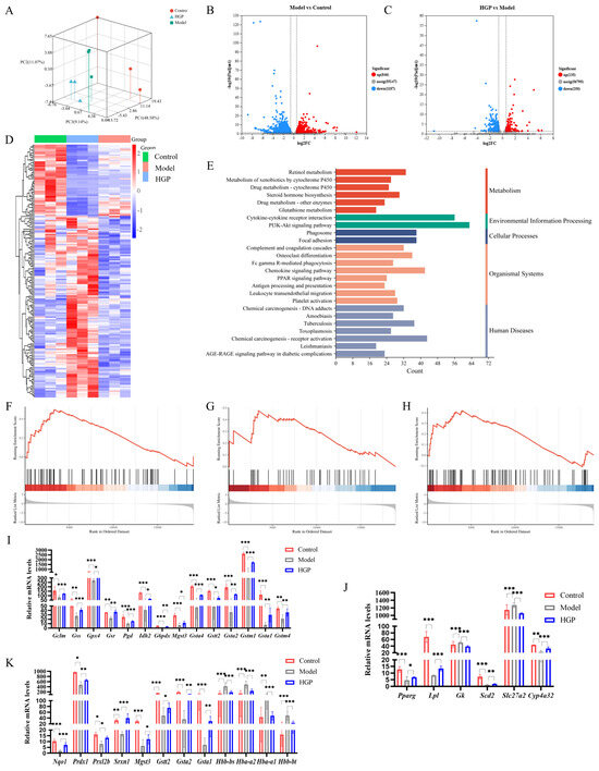 chinese deficit gene for glutathione liver disease synthesis in the mouse supports lipid abundance through NRF2 repression Hugan Tablets Alleviate Alcoholic Liver