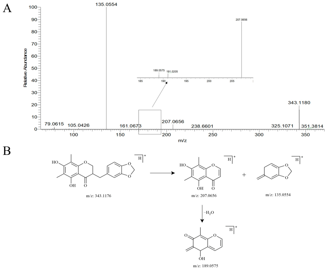 Pharmaceuticals 19 01044 g008 Pharmaceuticals 19 01044 g008