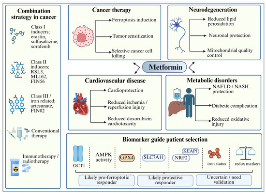 glutathione peptide protocol Dosage of Context-Dependent Modulation of Ferroptosis by