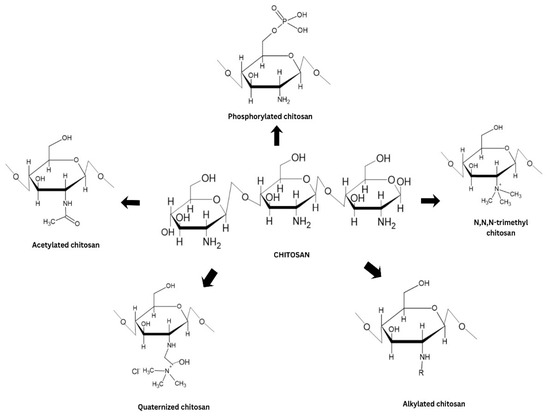 Biopolymer-Based Hydrogels for Wound Healing: Advances in