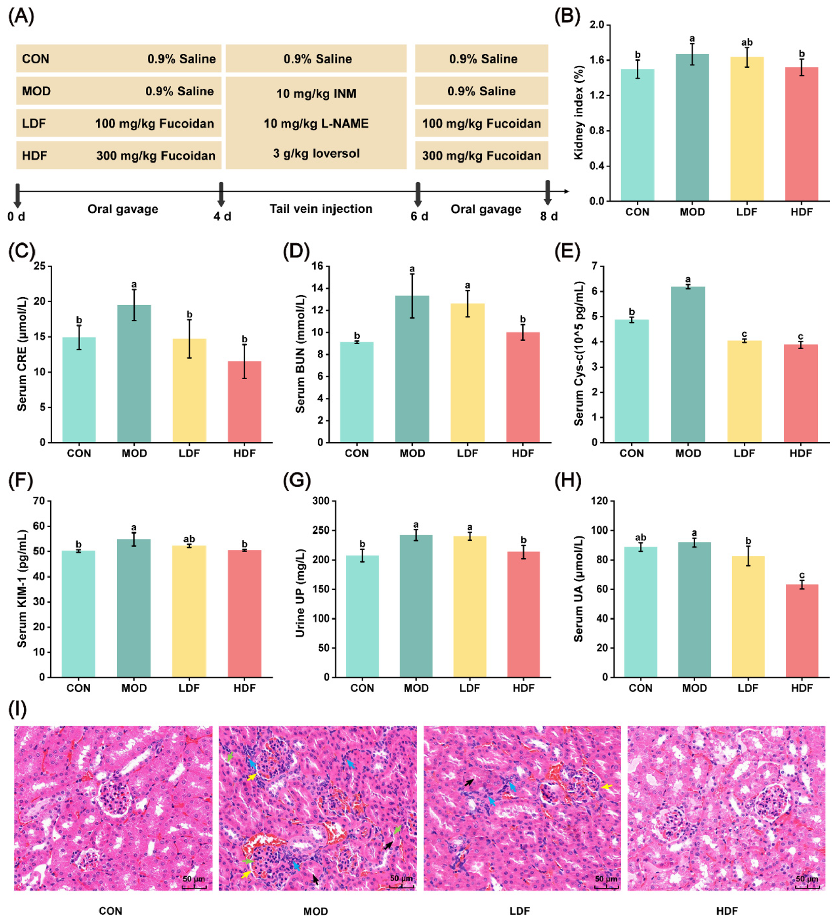 Pharmaceuticals 19 01214 g001 Pharmaceuticals 19 01214 g001