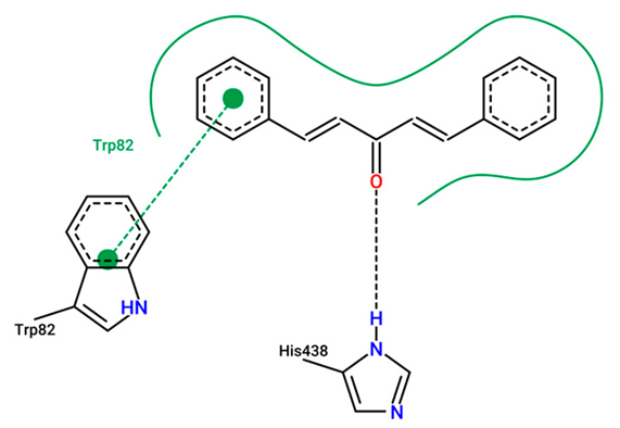 Pharmaceuticals 19 01216 i002 Pharmaceuticals 19 01216 i002