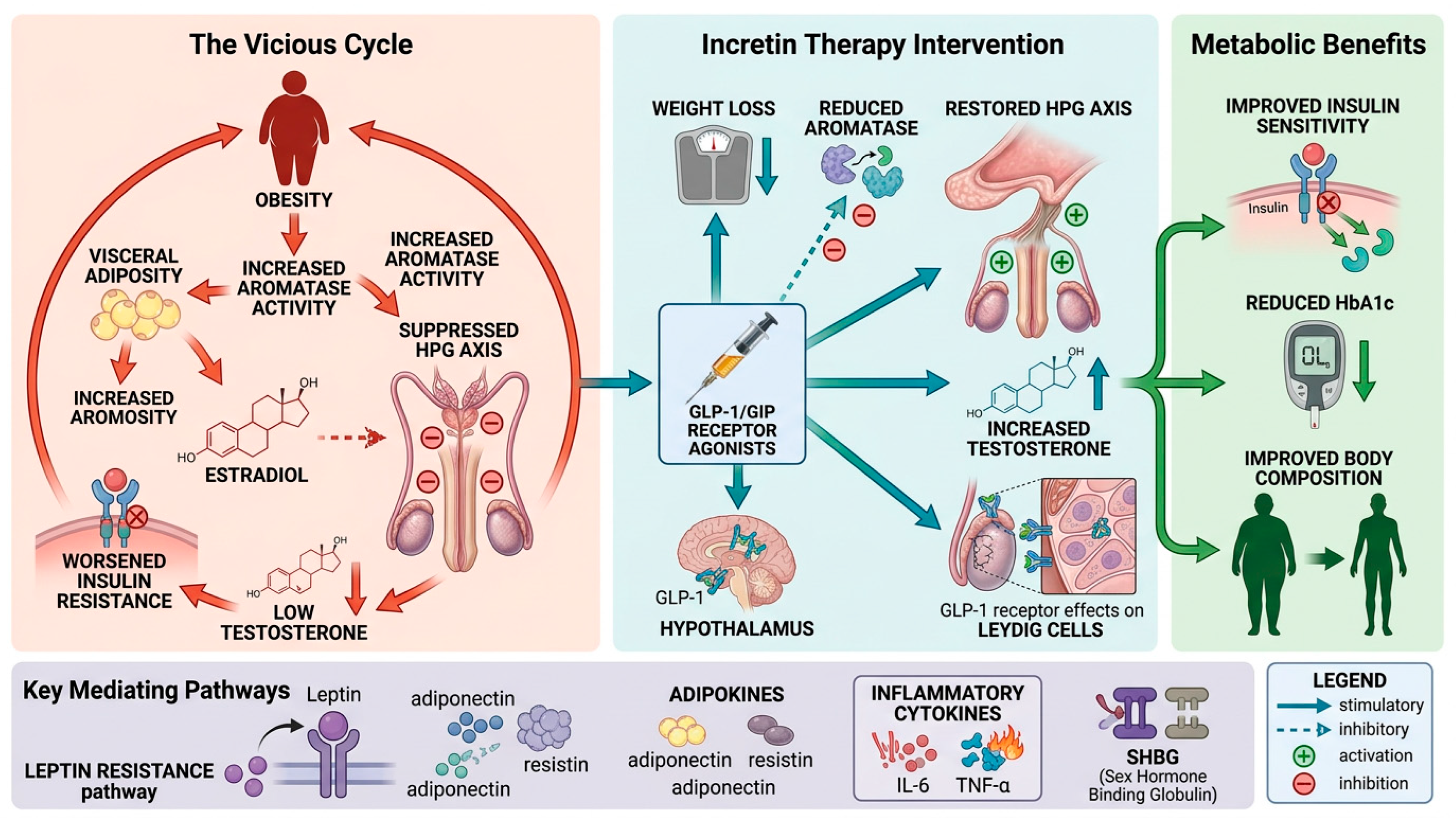 Effects of Incretin-Based Therapies on Testosterone Levels and Incretin Response in Men with Hypogonadism: A Systematic Literature Review Following PRISMA 2020 Guidelines
