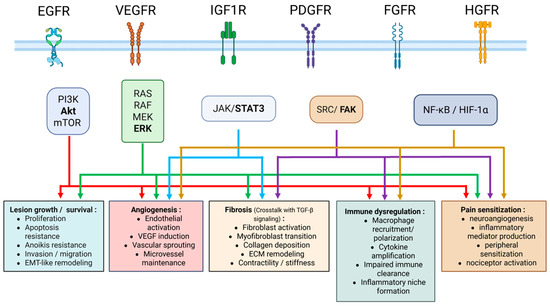 Phytochemicals Modulating Receptor Tyrosine Kinase Signaling
