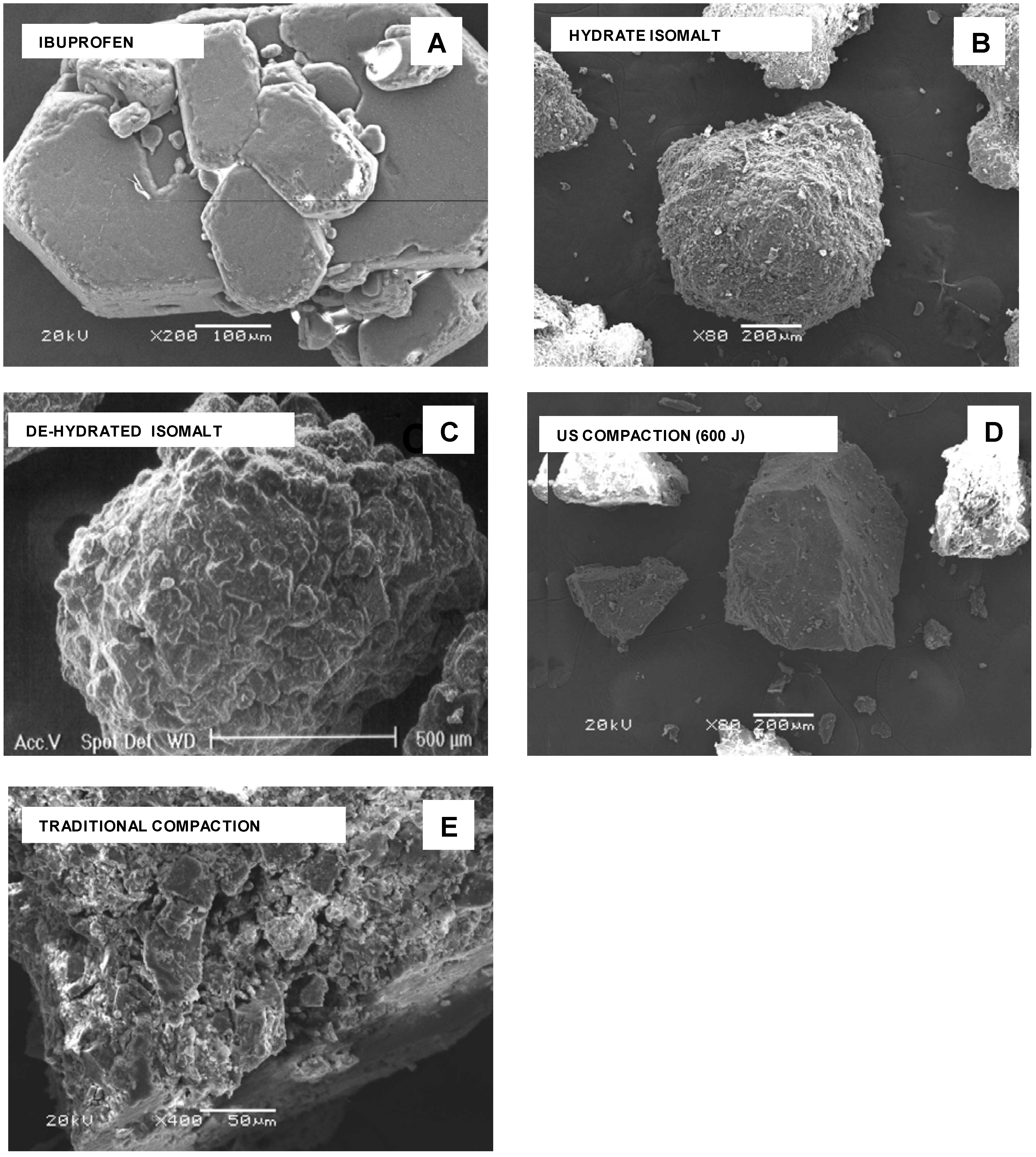 Pharmaceutics 01 00003 g002 1024