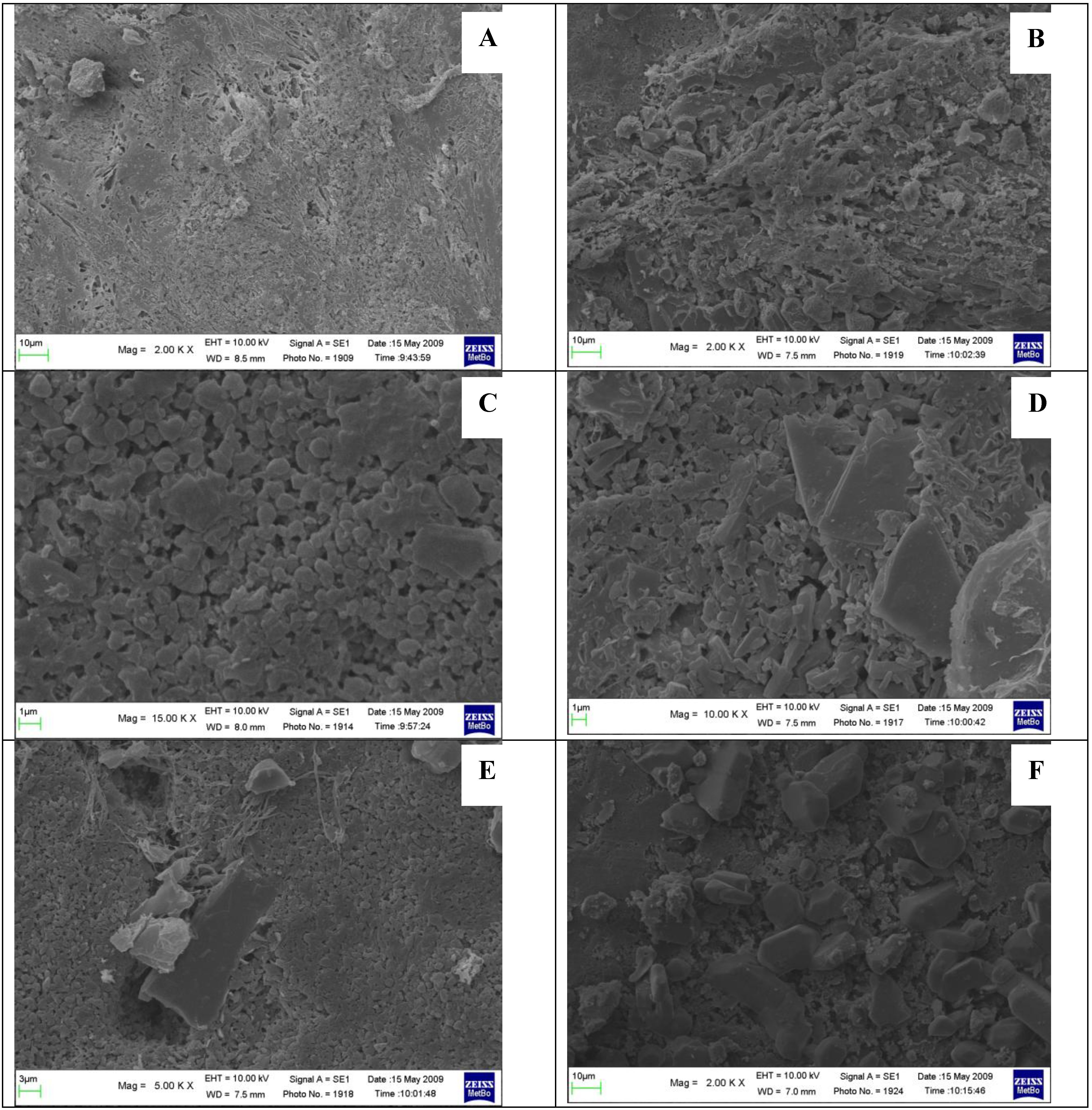 Pharmaceutics 01 00003 g003 1024