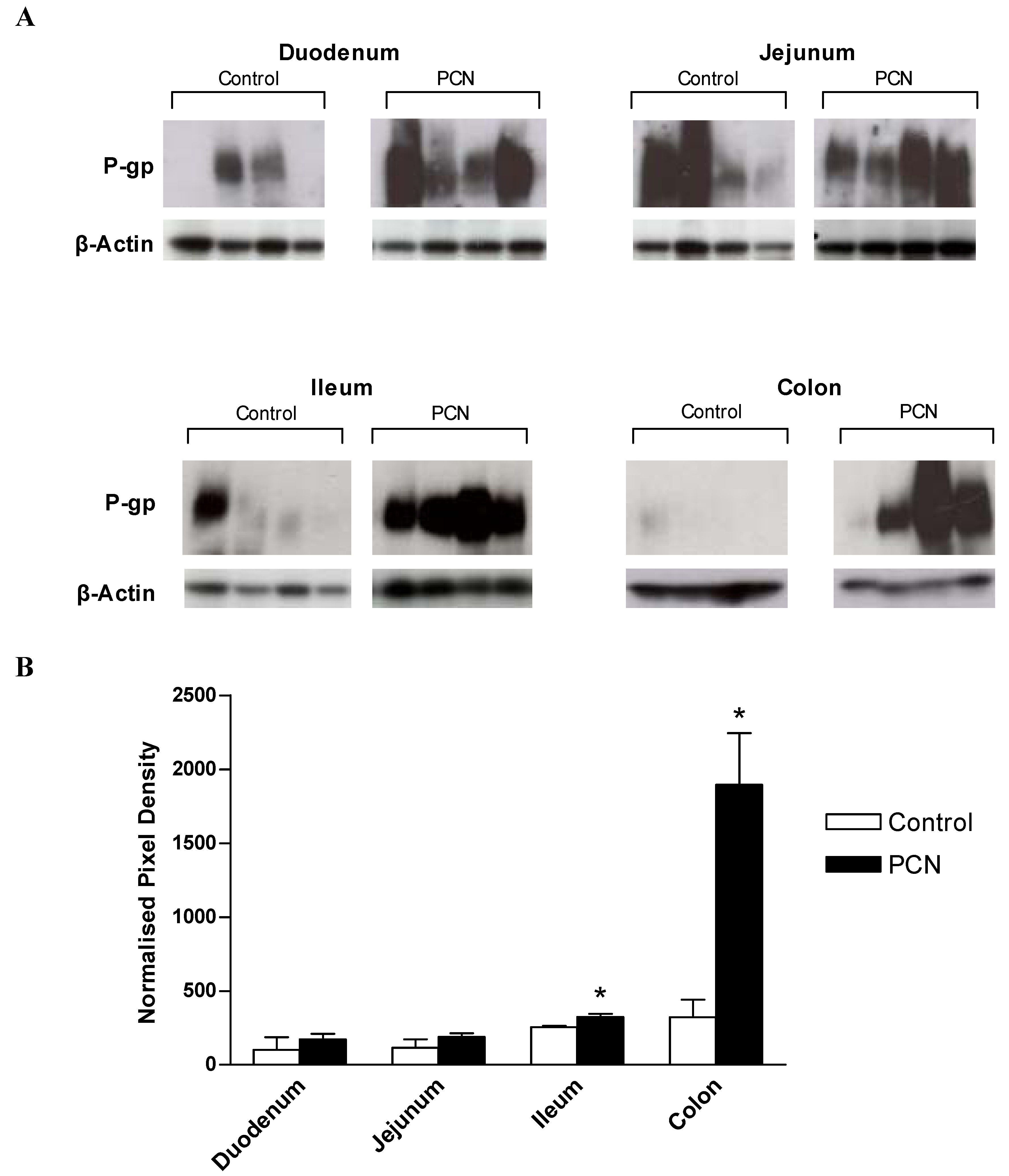 Pharmaceutics 02 00061 g005 1024