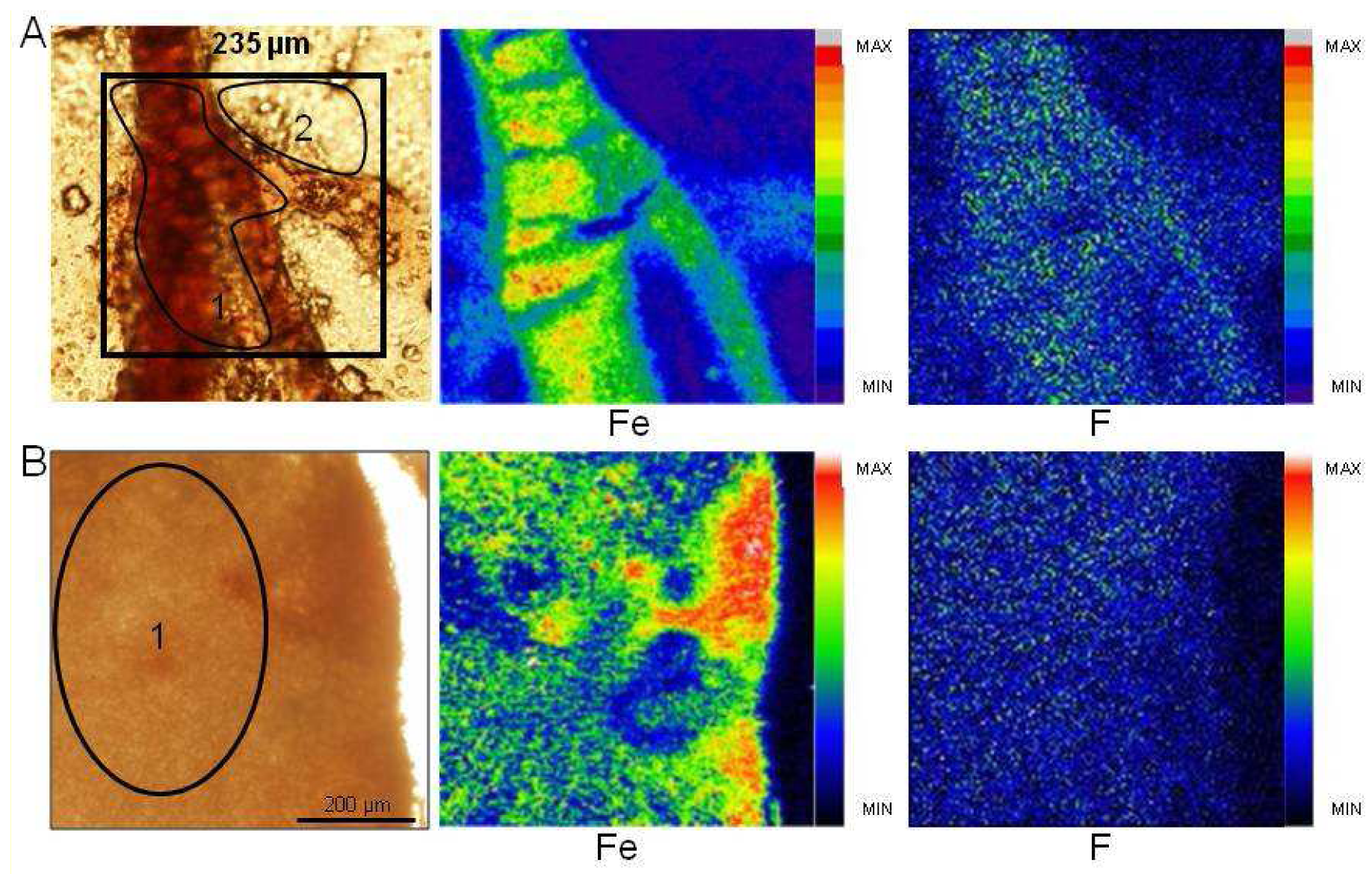 Pharmaceutics 03 00088f2 1024