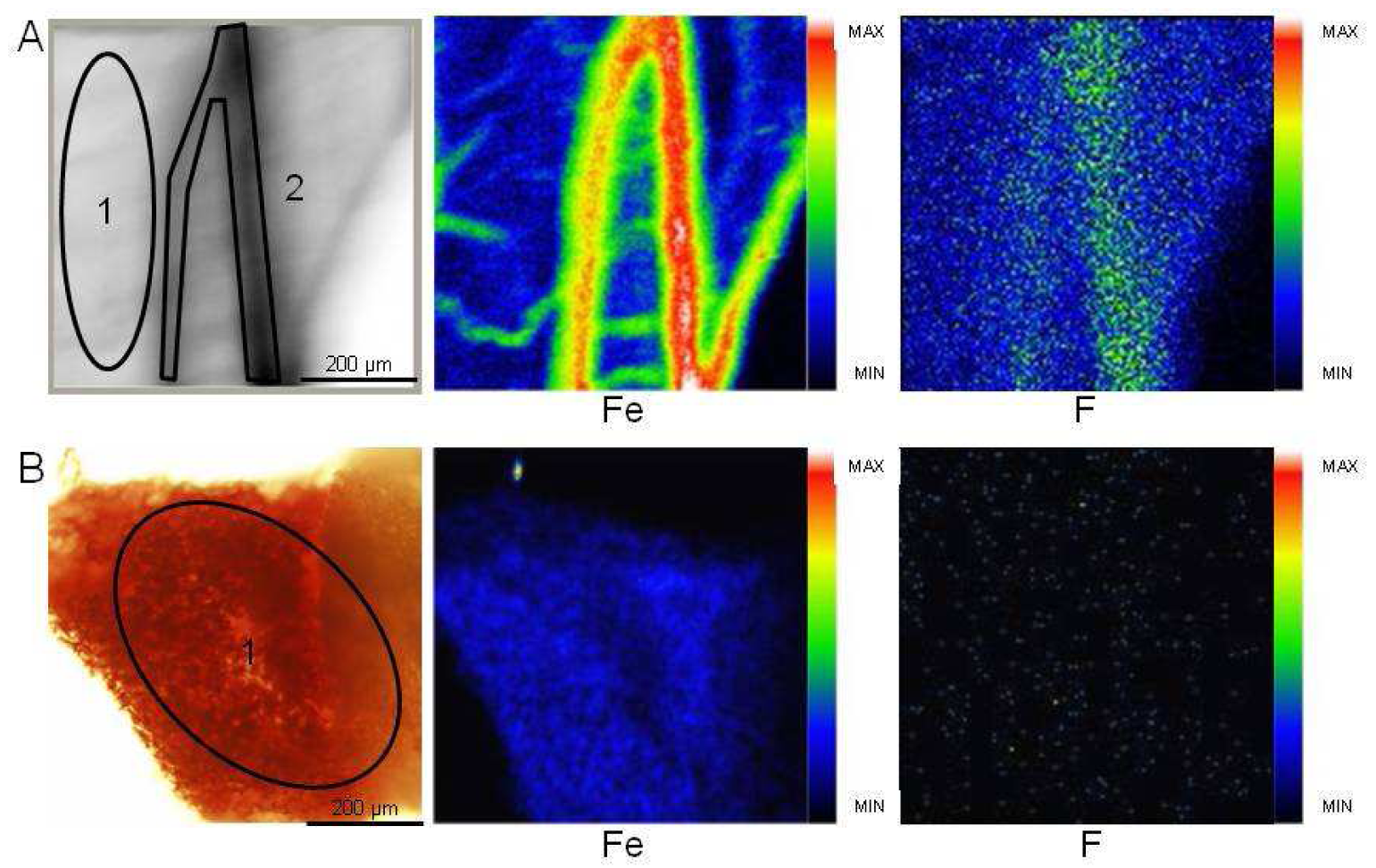 Pharmaceutics 03 00088f3 1024