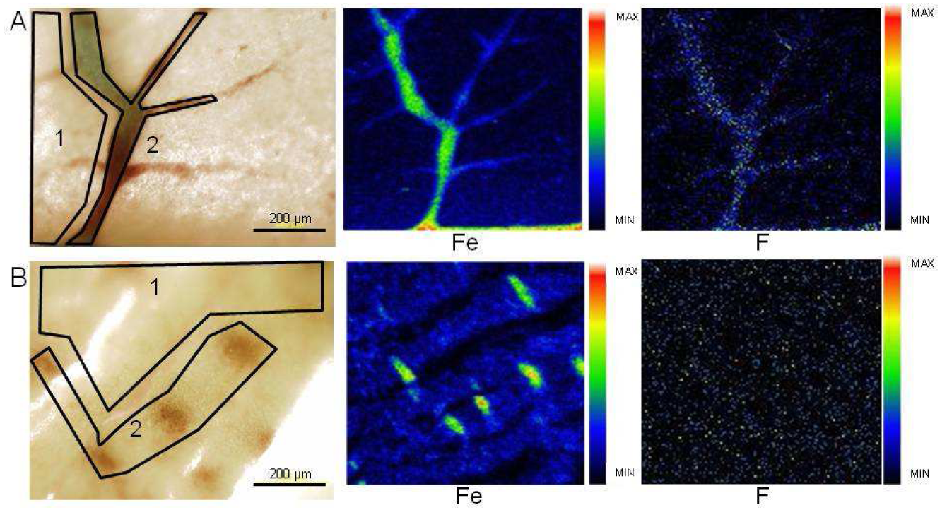 Pharmaceutics 03 00088f4 1024